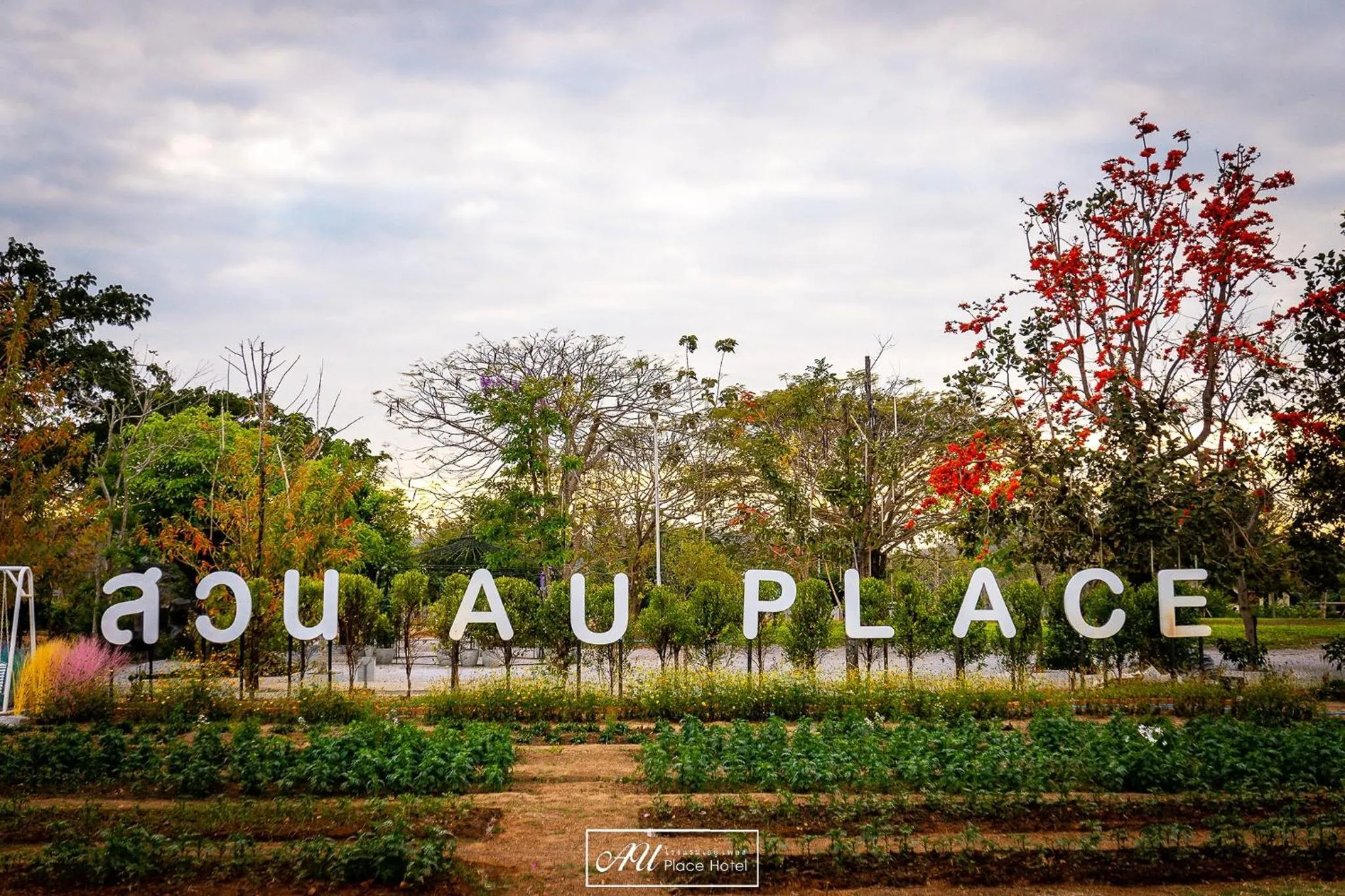 Natural landscape in AU Place Hotel