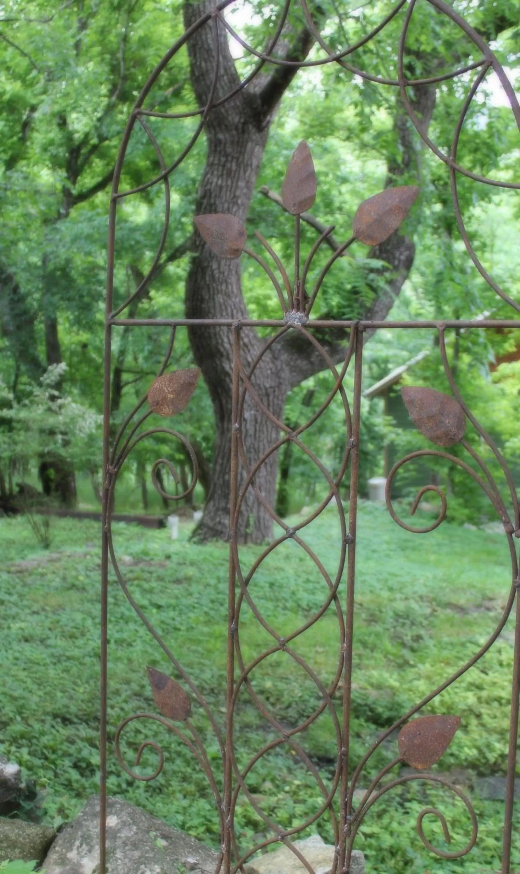 Other Animals in Hidden Springs Bed and Breakfast