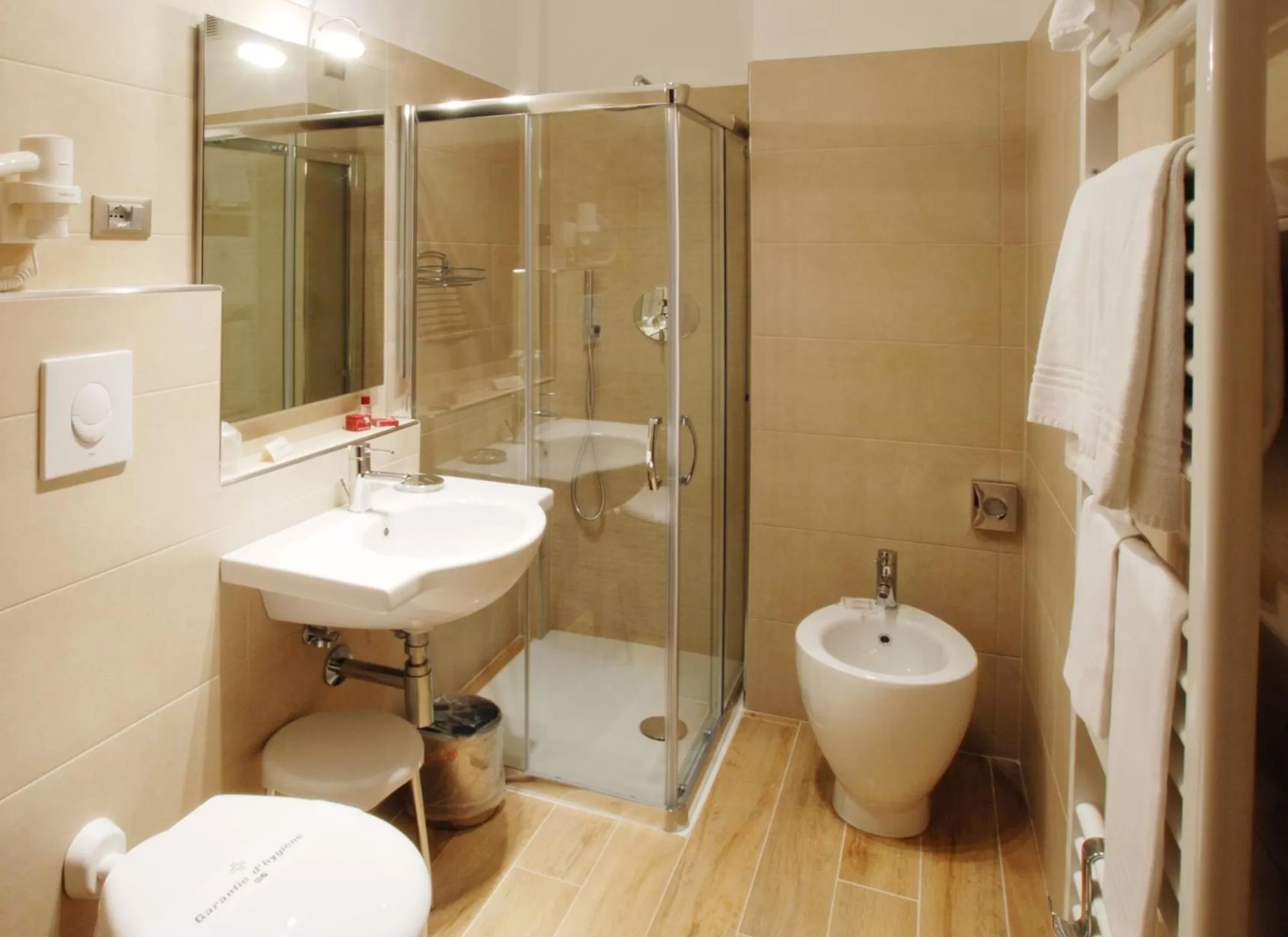 Toilet in Hotel Carlton