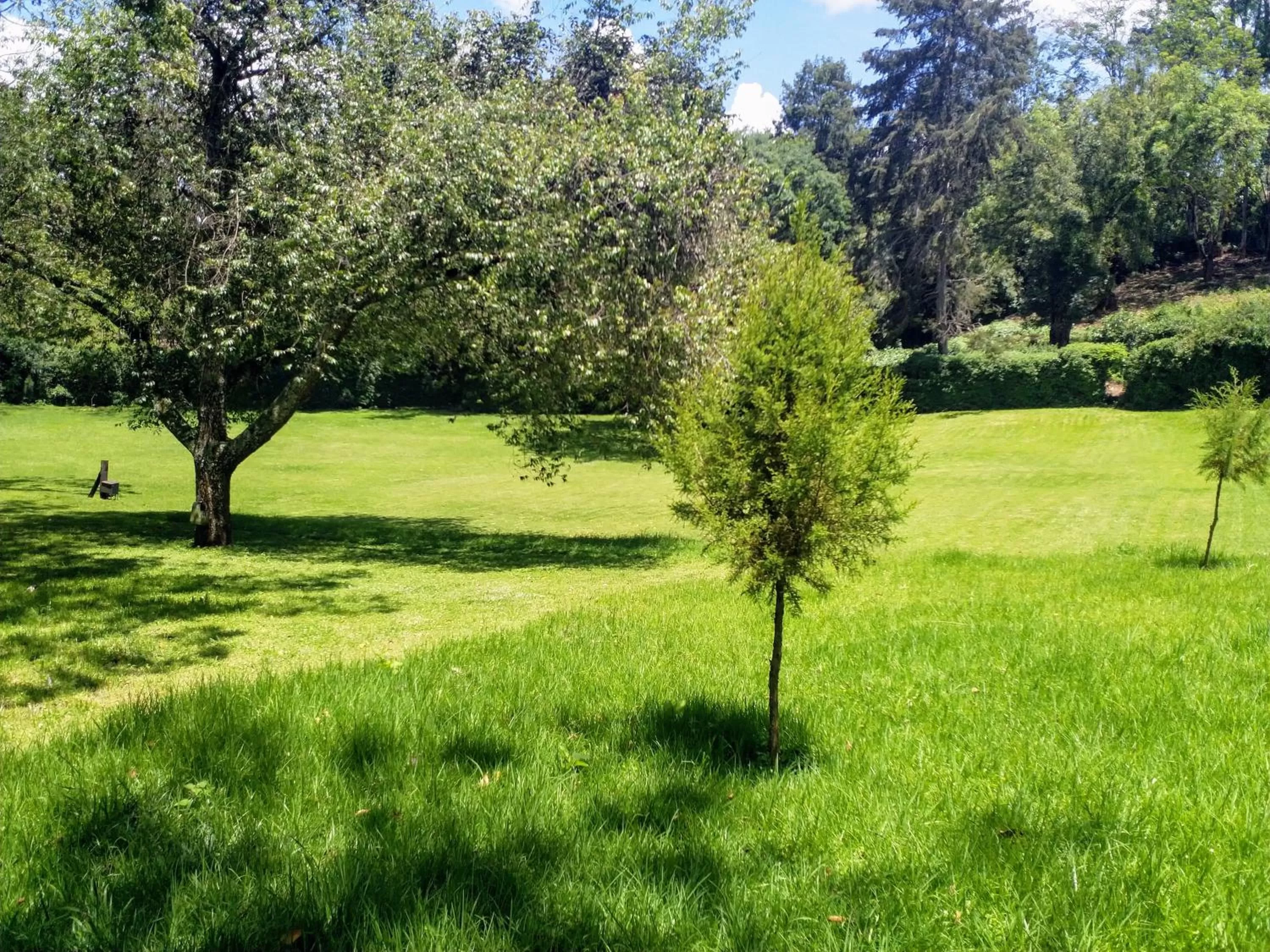 Spring in Thayu House