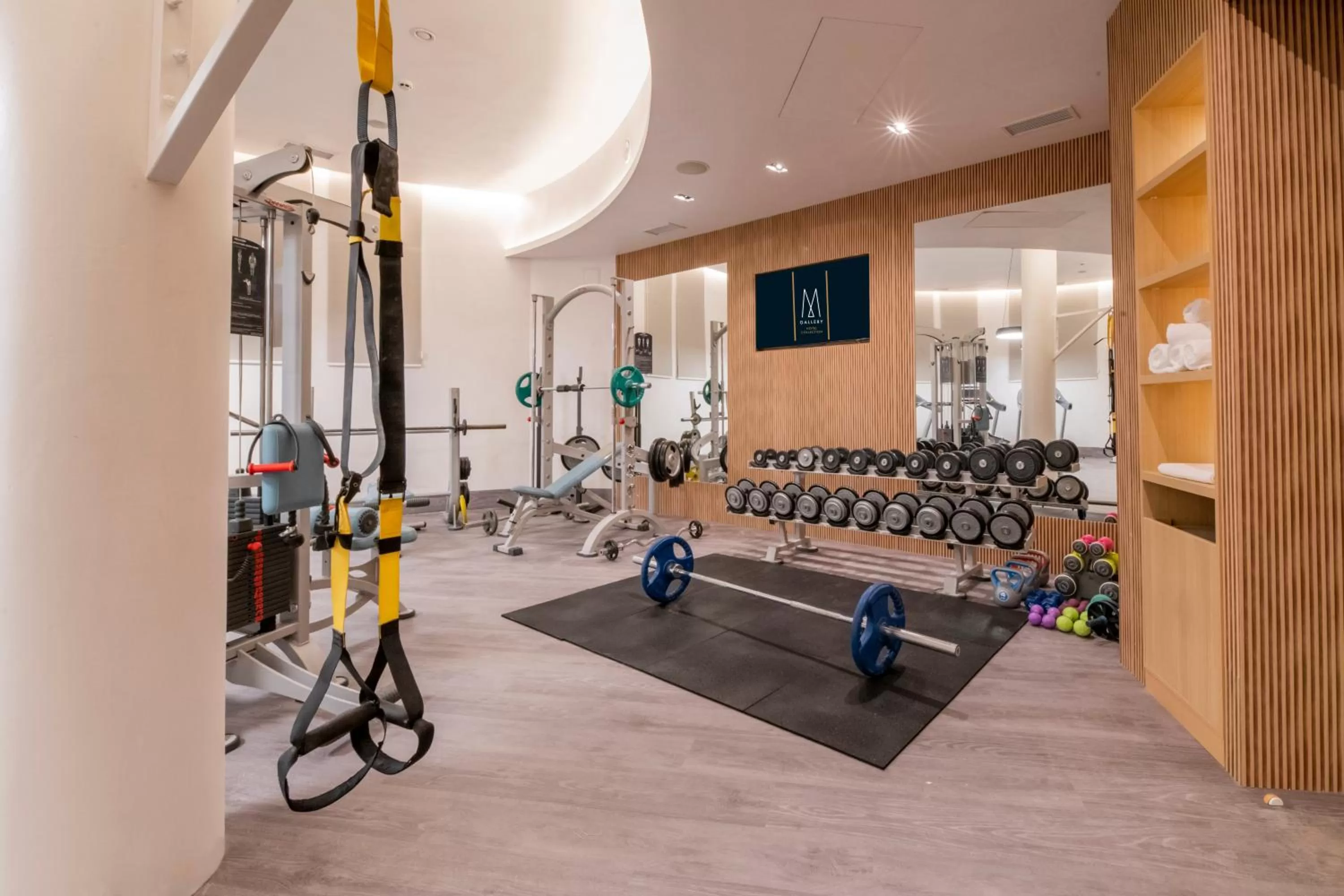 Fitness centre/facilities in Maison Sofia - MGallery