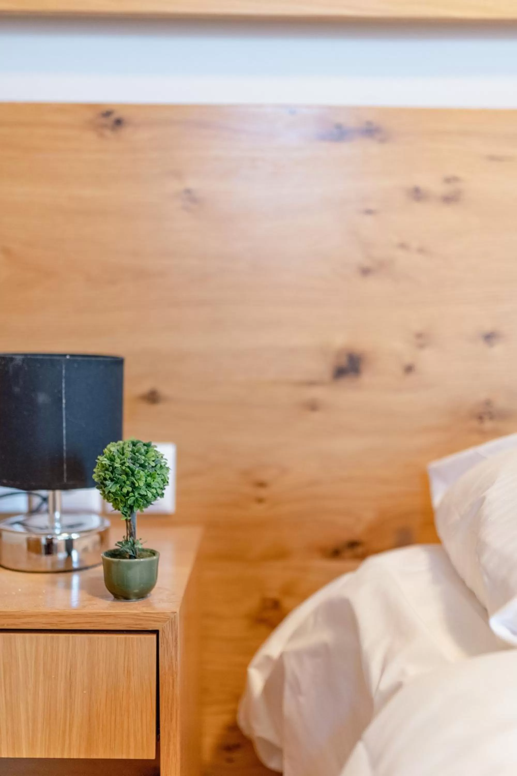 Zama Suites Collection