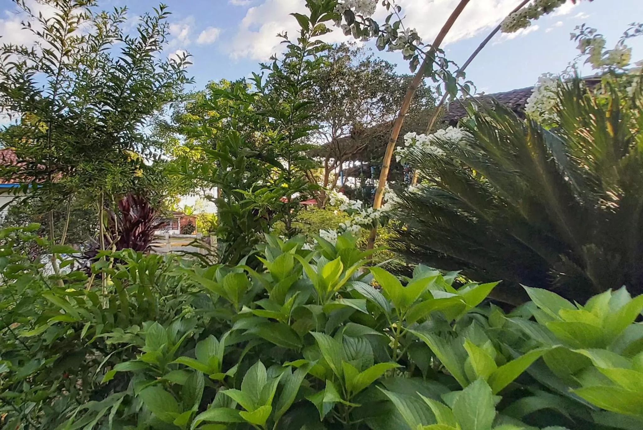 Natural landscape in Balsora Hotel Boutique