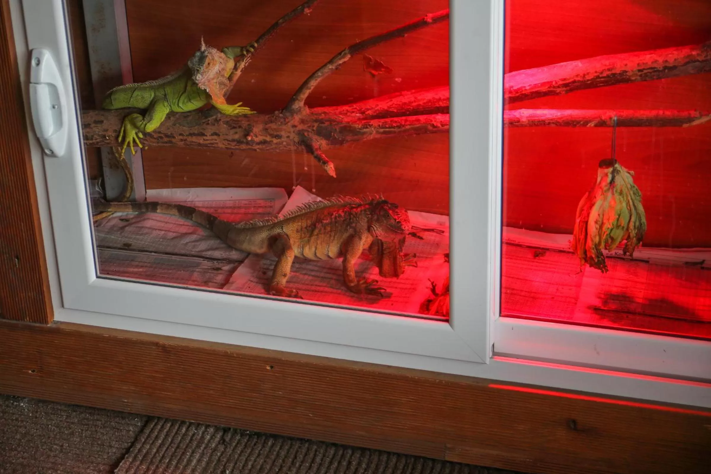 Decorative detail in Hotel Shpella