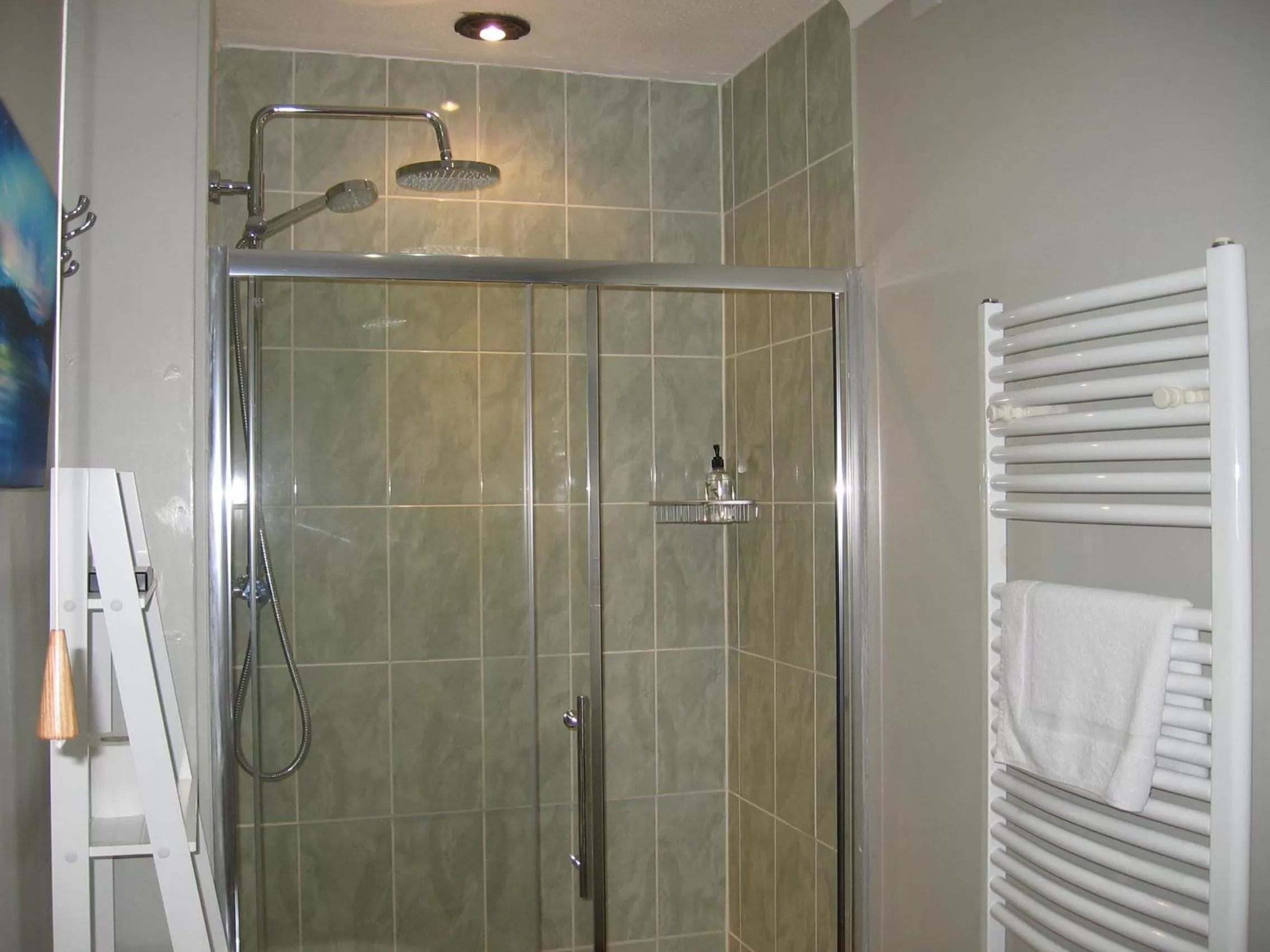 Bathroom in Beaconsview B&B