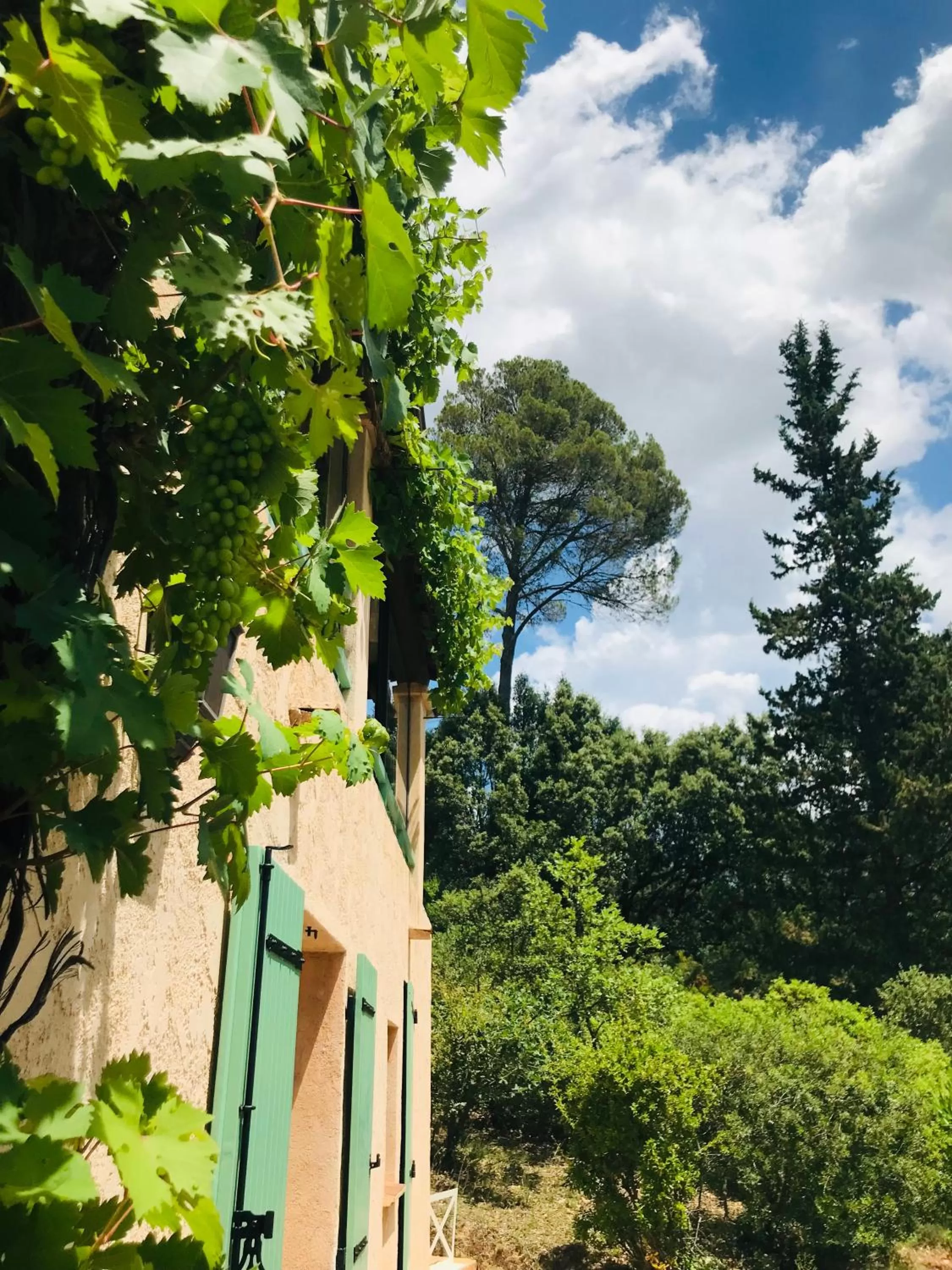 Property building in Les Bosquets