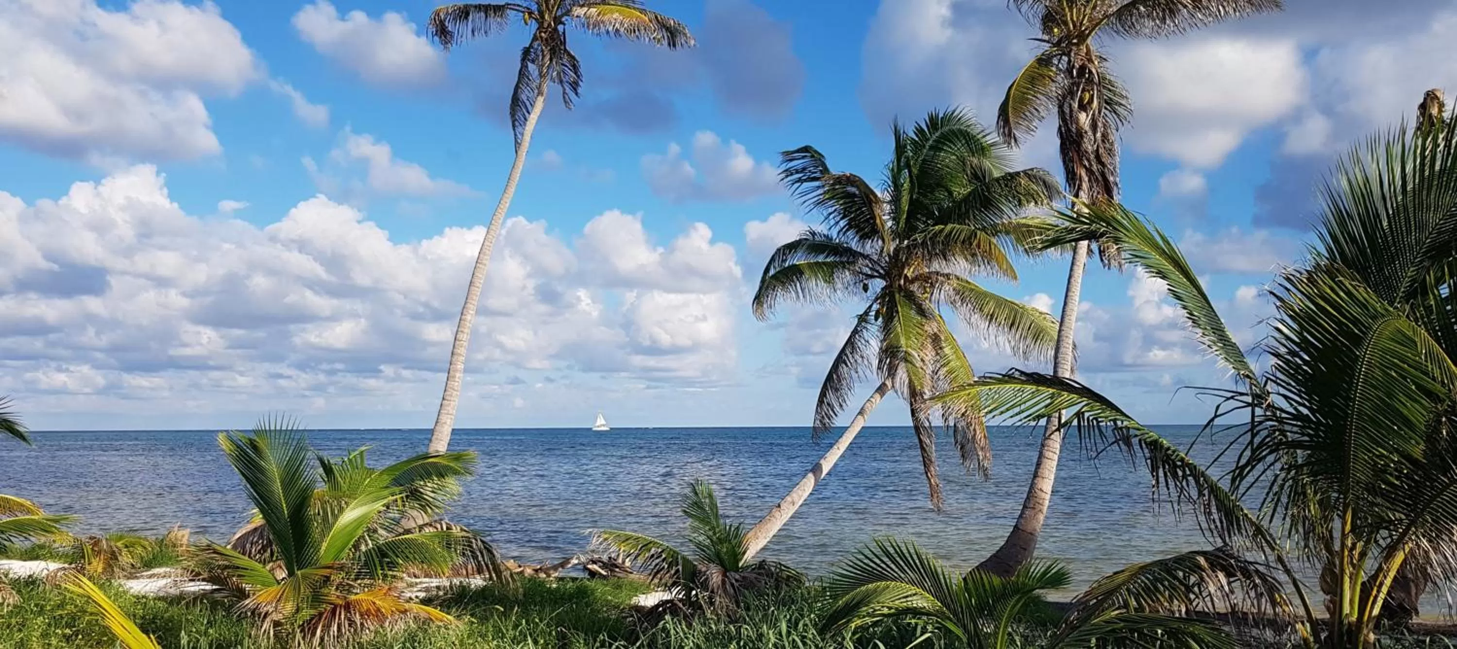 Beach in Royal Caribbean Resort