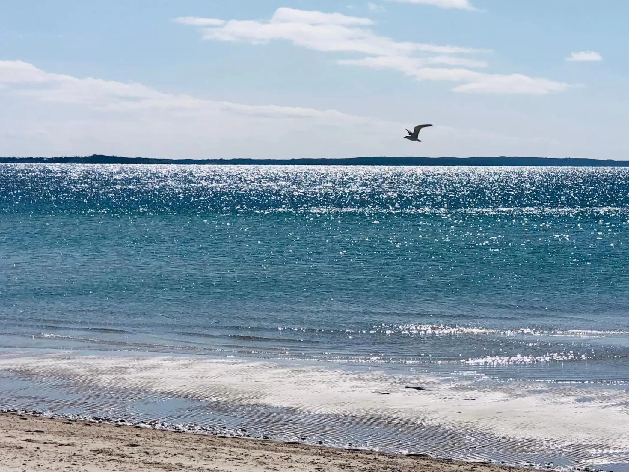 Natural landscape in Frederick William House
