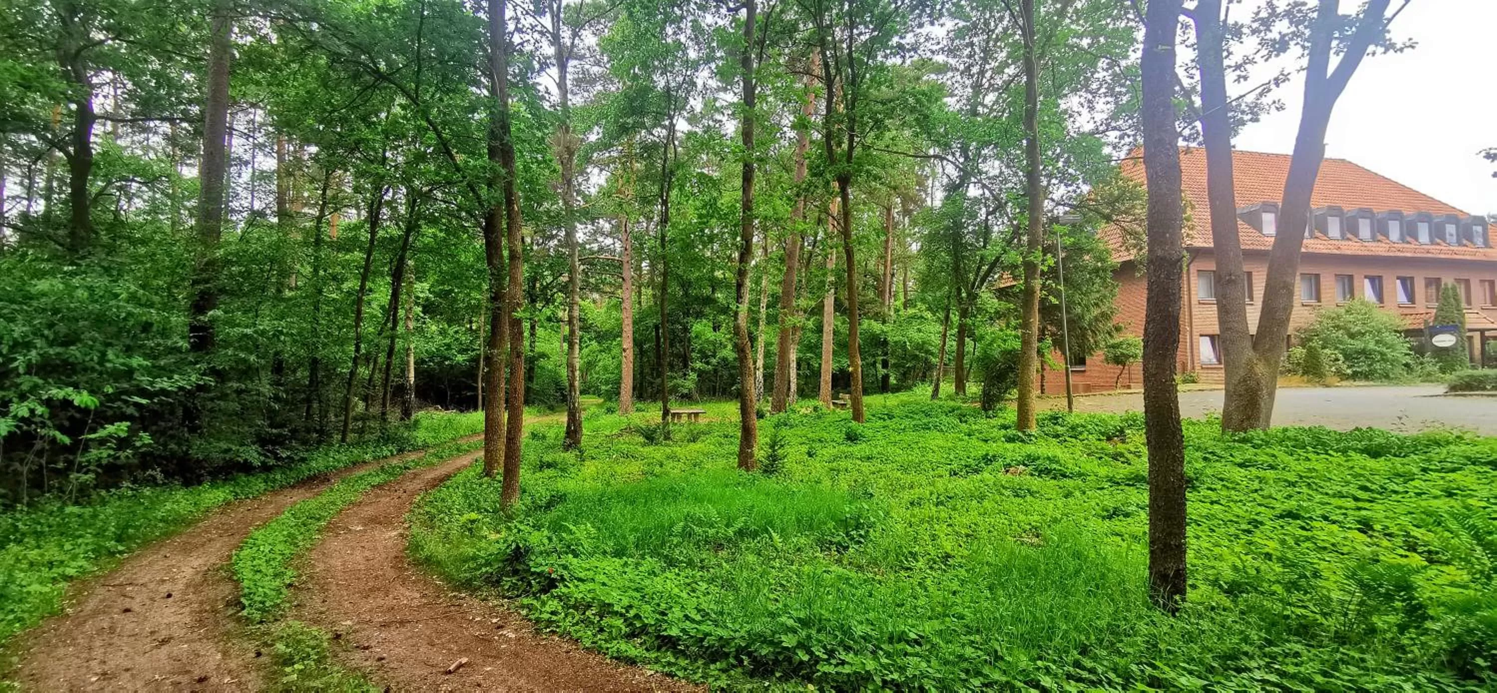 Property building in Heidehotel Soltauer Hof