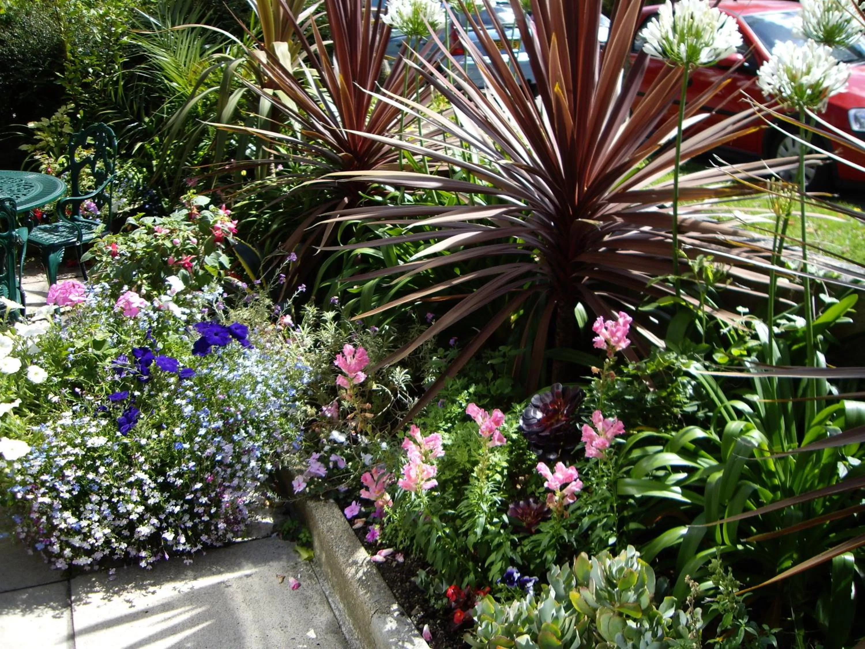Garden in The Pendennis Guest House