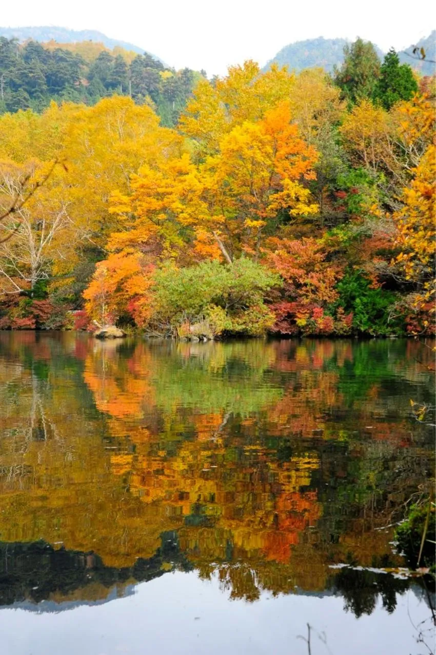 Area and facilities in Yumoto Itaya