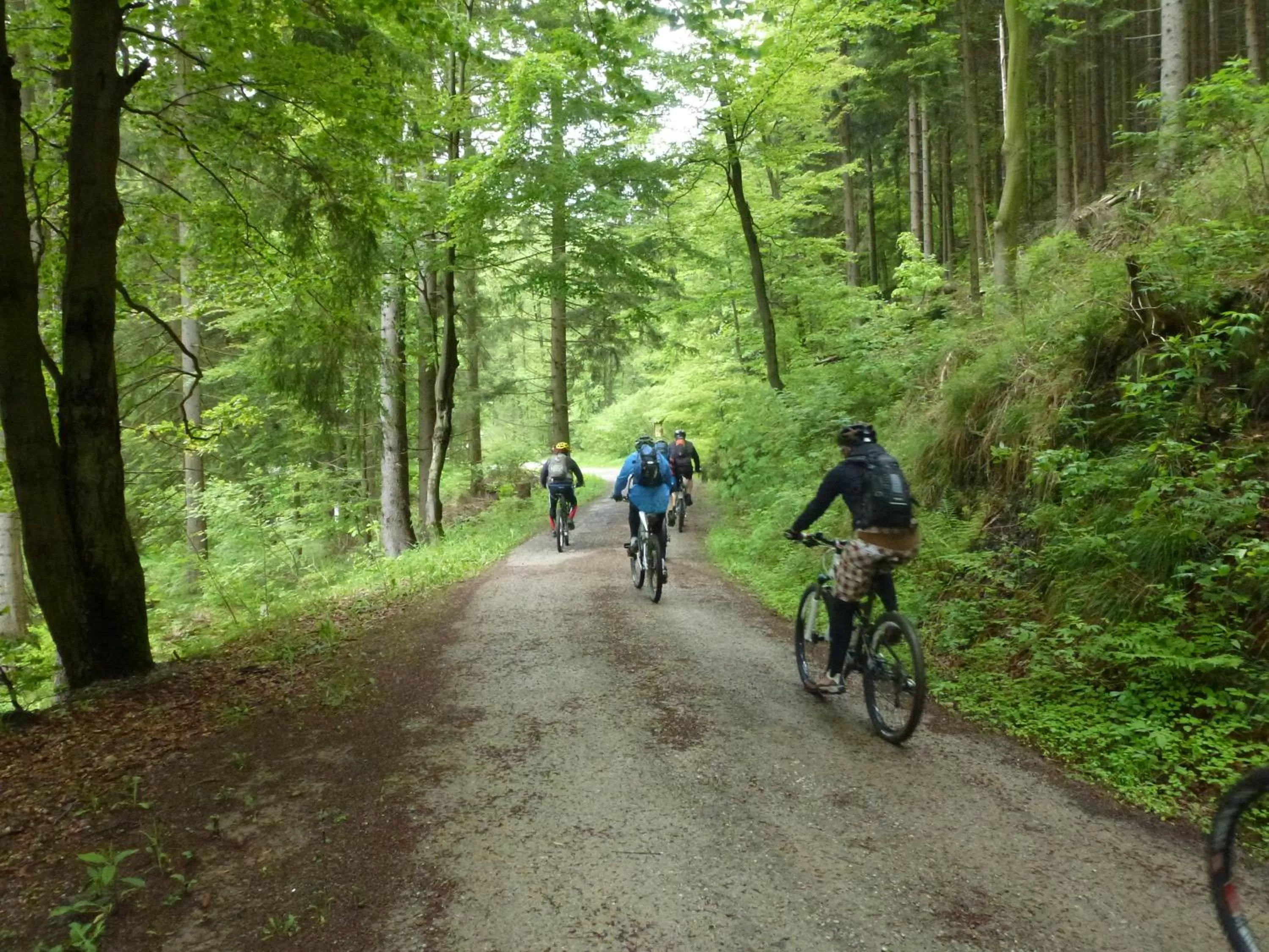 Summer in Hotel Pension Gelpkes Mühle