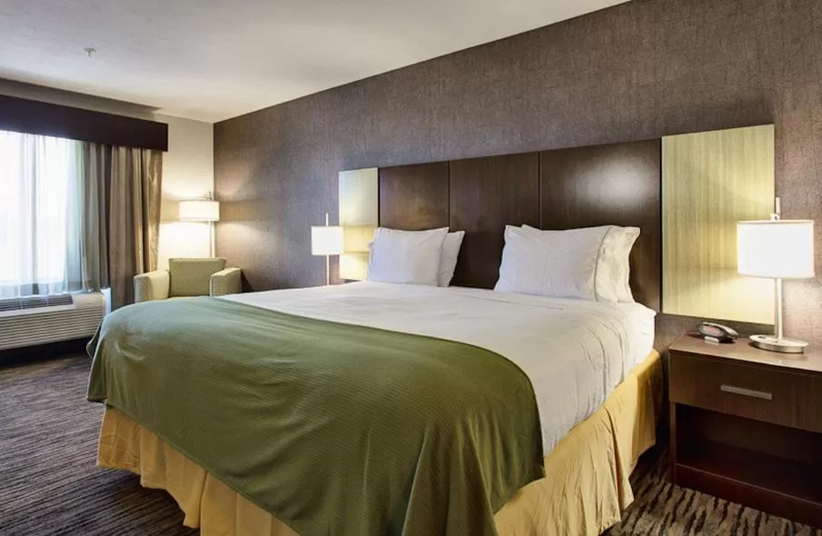 King Room - Hearing Accessible - Roll-in Shower in Holiday Inn Express & Suites North Fremont, an IHG Hotel