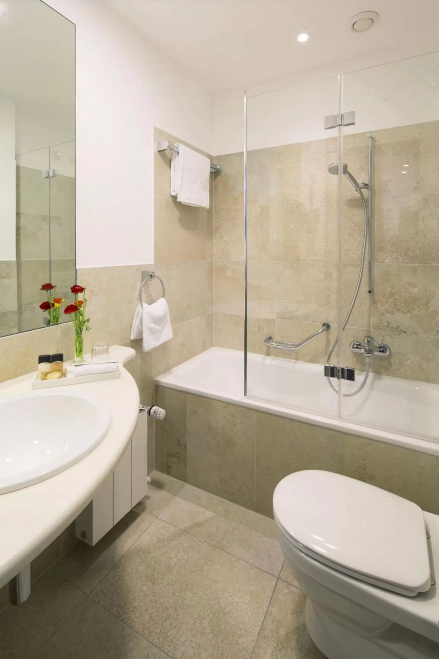 Shower in Eden Hotel Wolff