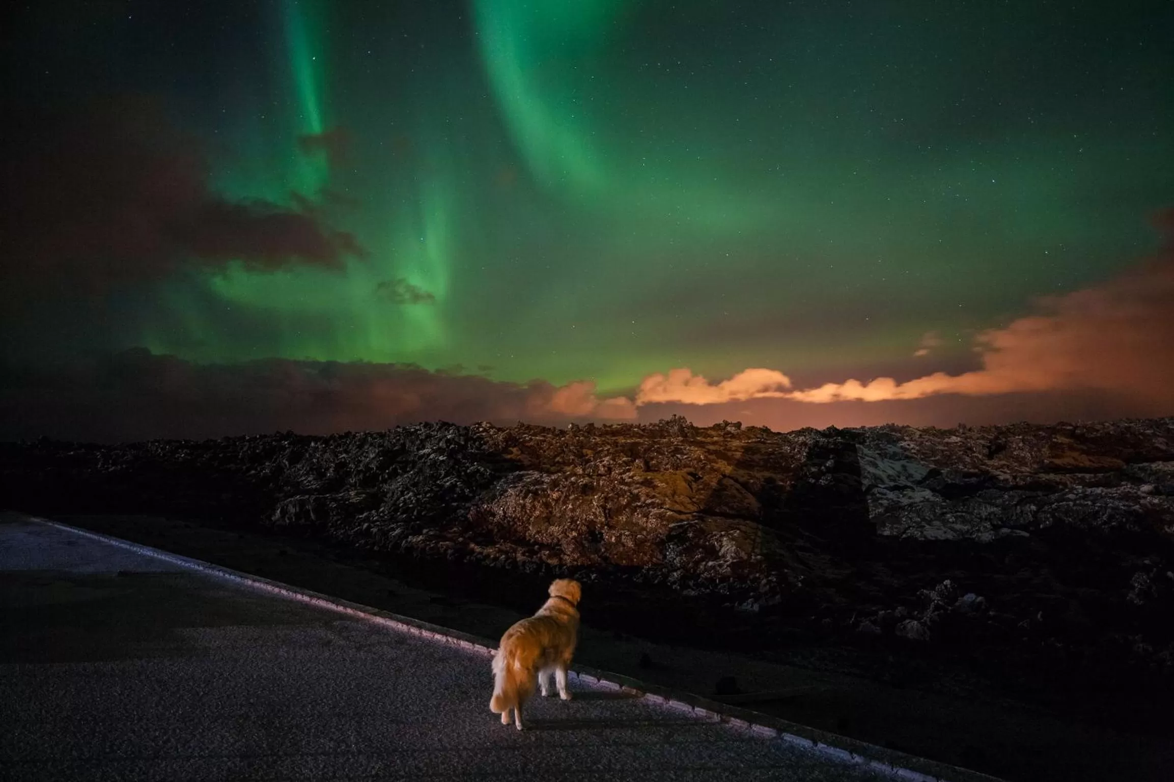 Night in Northern Light Inn