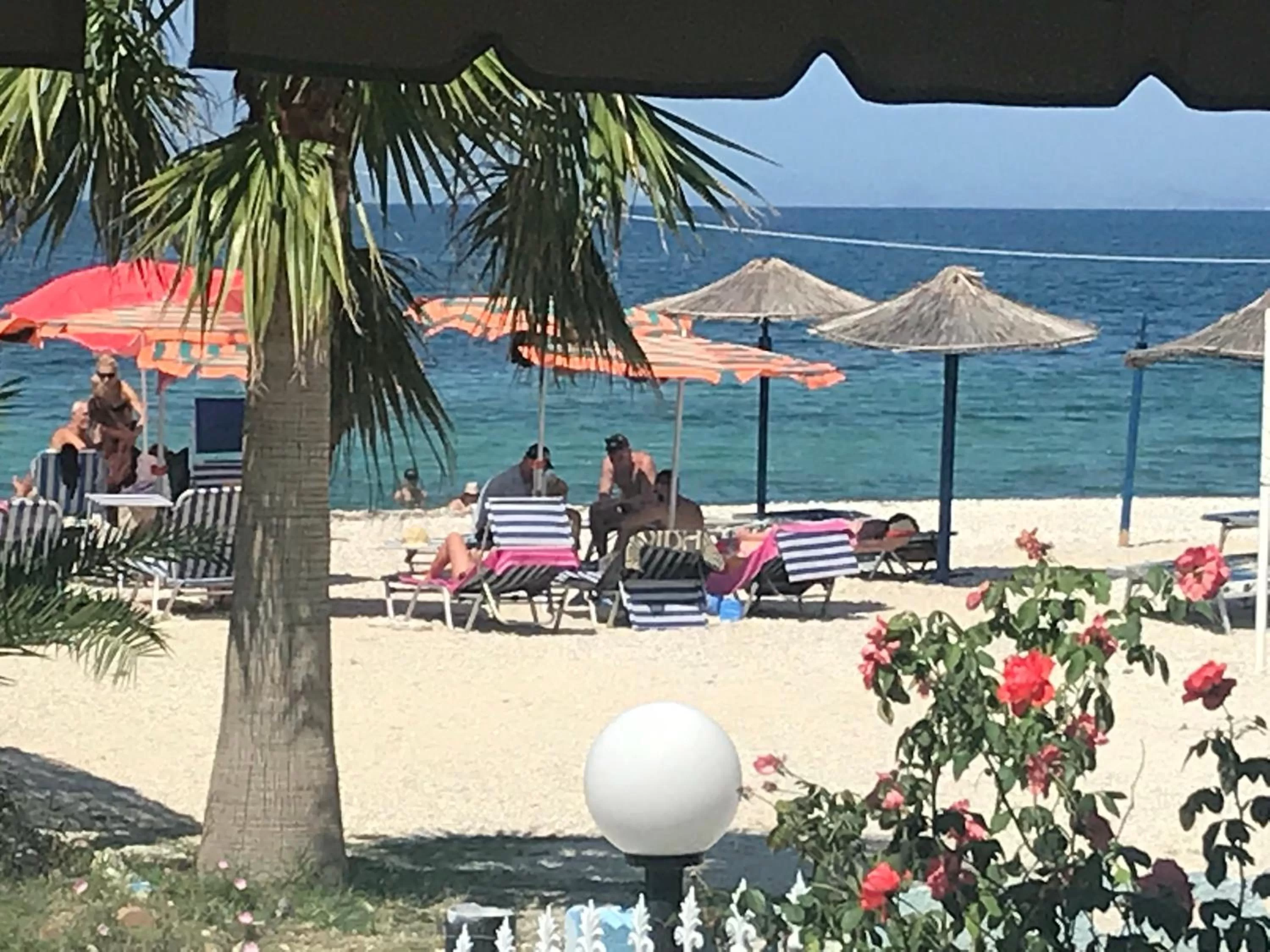 Beach in Hotel Alba-Gert