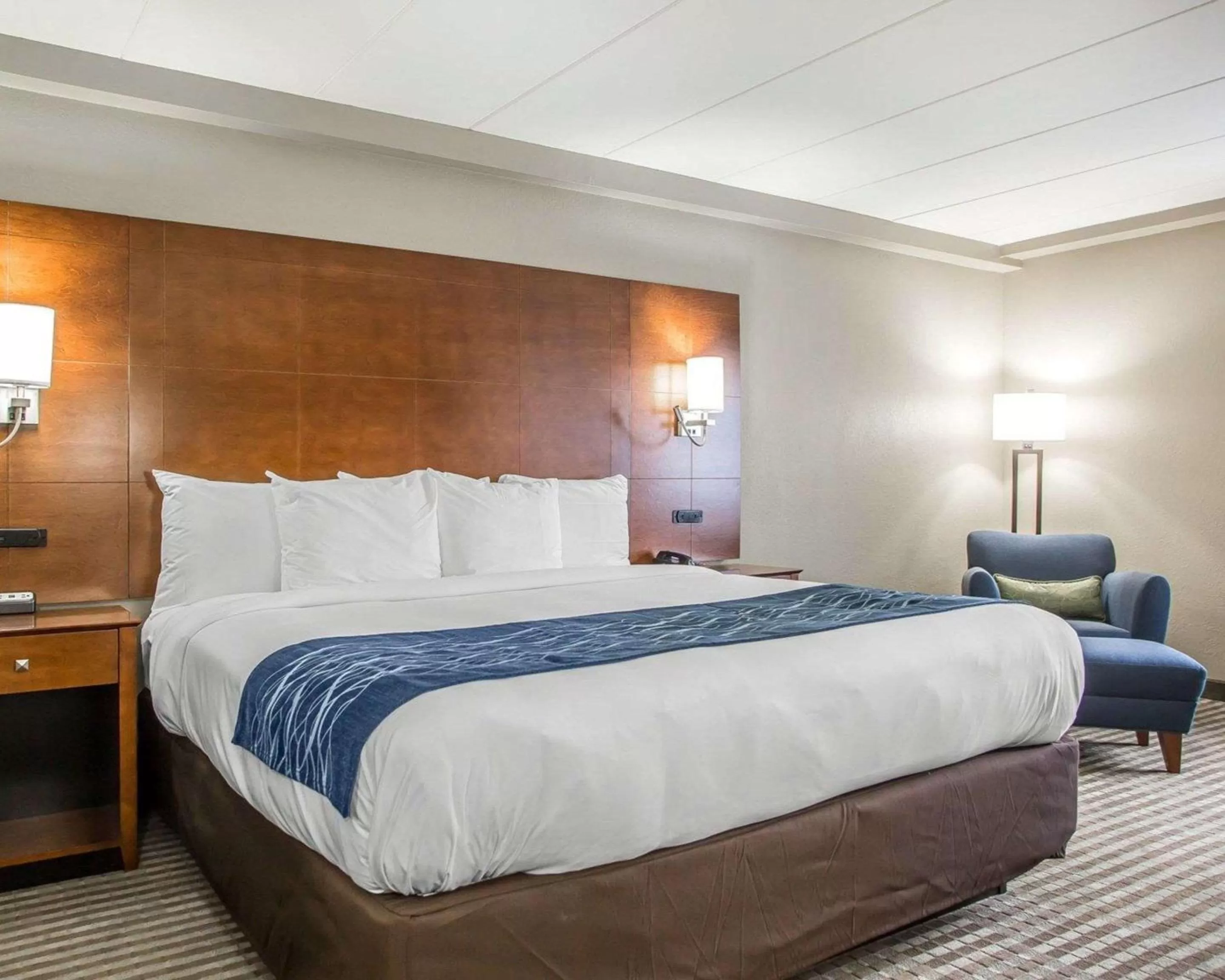 Photo of the whole room, Bed in Comfort Inn Hammond I-94