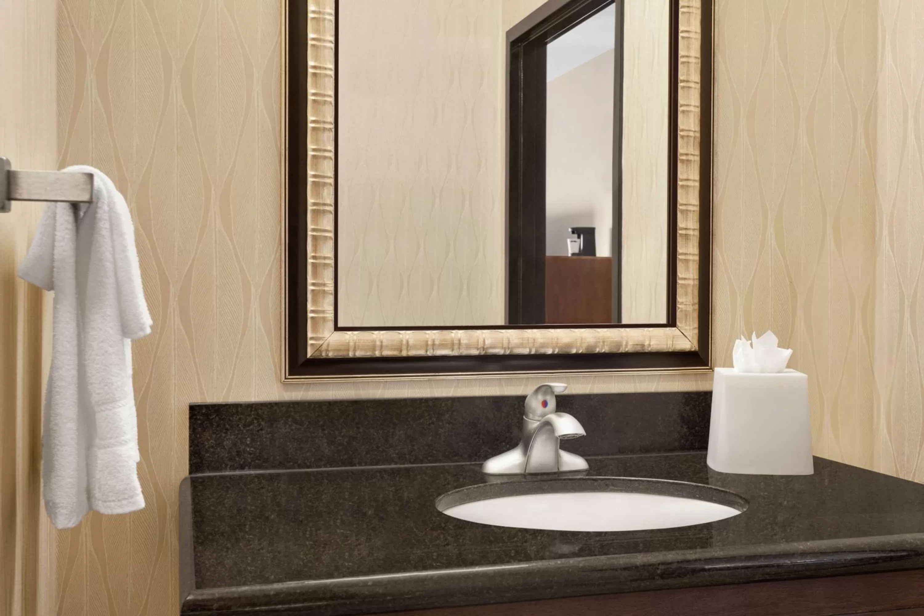 Bathroom in Hampton Inn Sulphur Springs