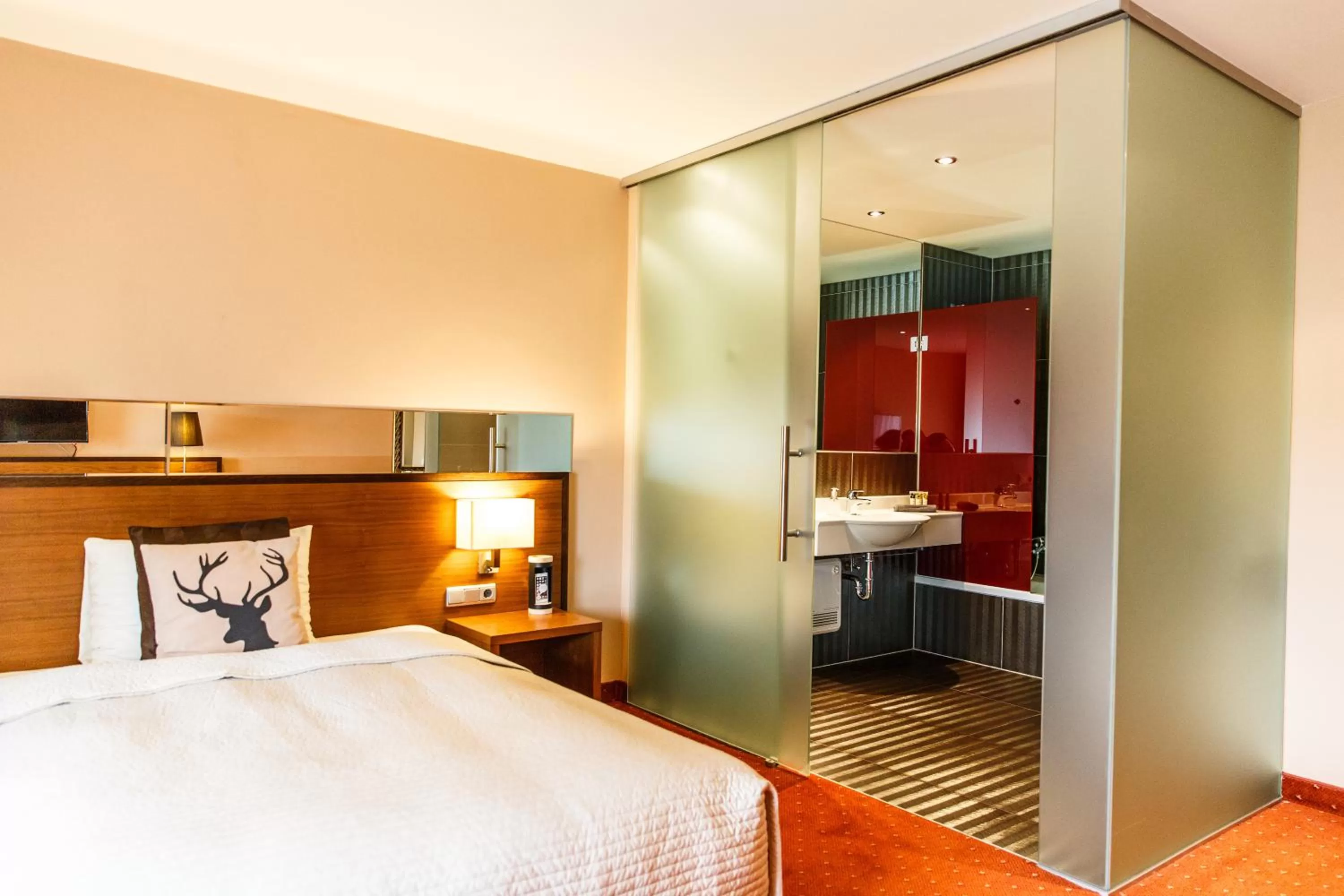 Photo of the whole room in Hotel Salzburg