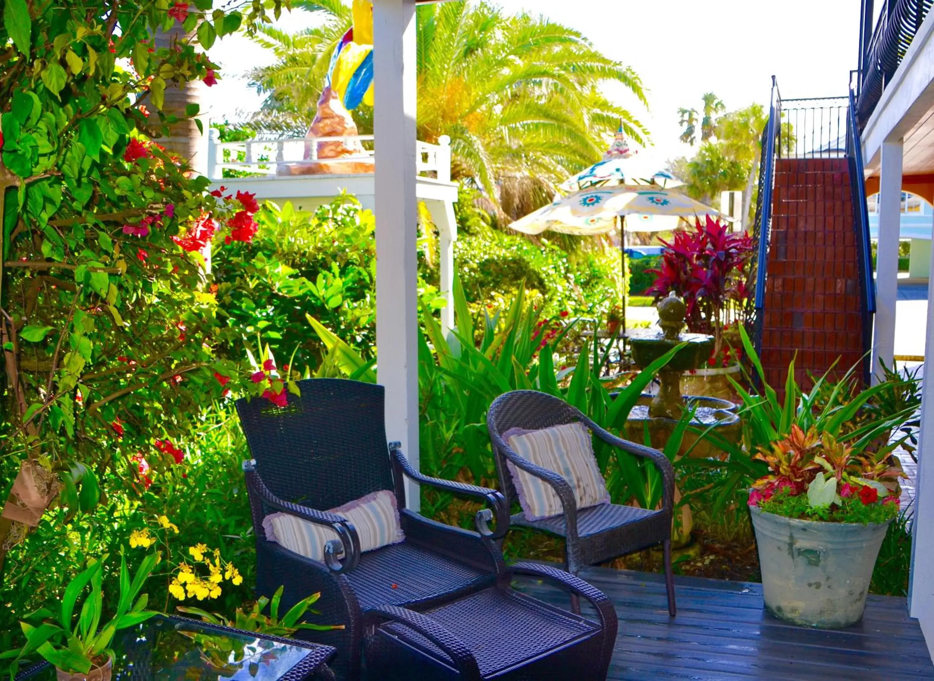 King Studio with Sofa Bed in Sea Turtle Inn King Studio with Sofa Bed in Sea Turtle Inn