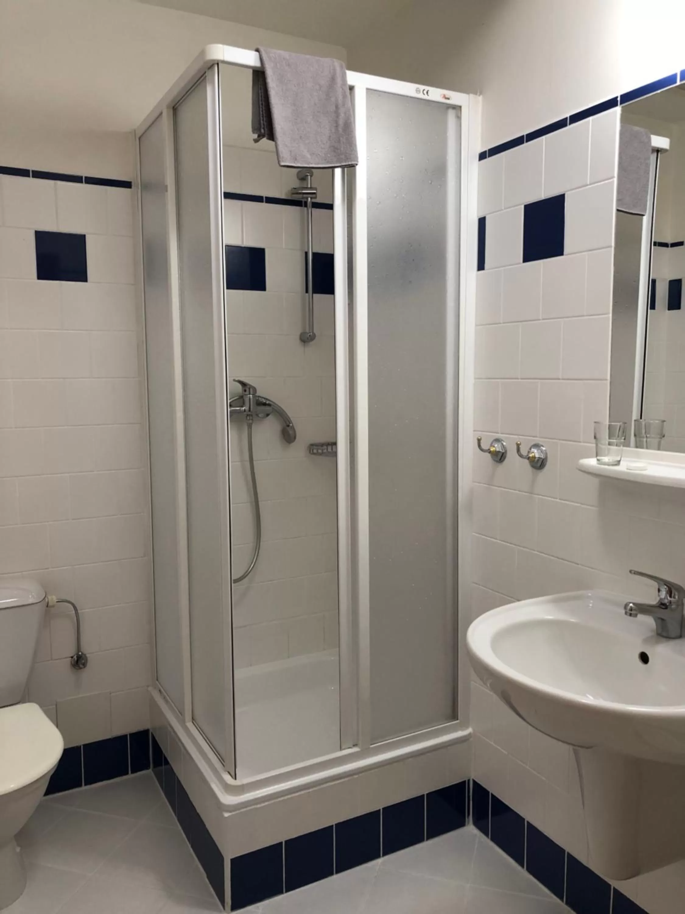 Toilet in Brezina Pension