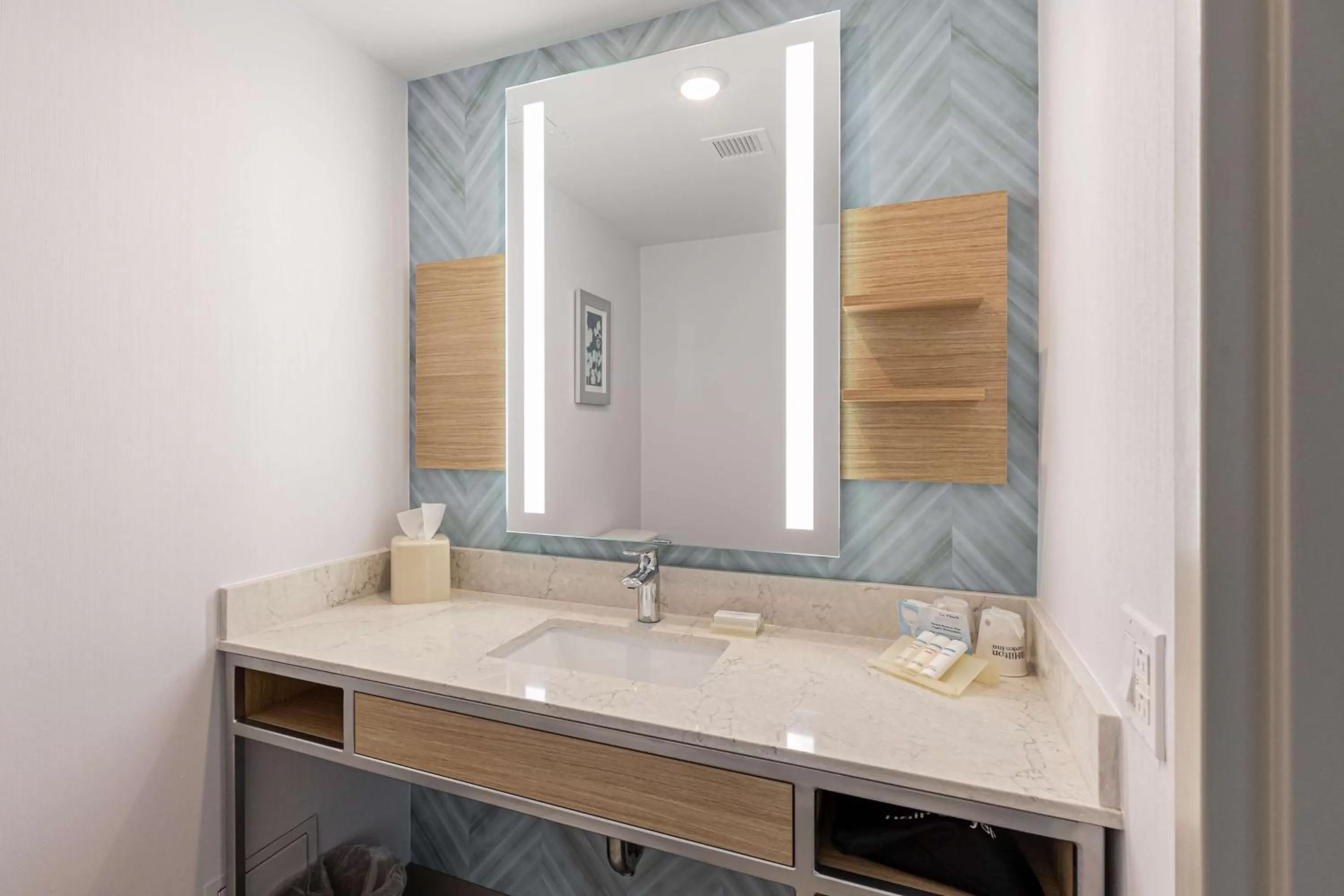 Bathroom in Hilton Garden Inn Ithaca