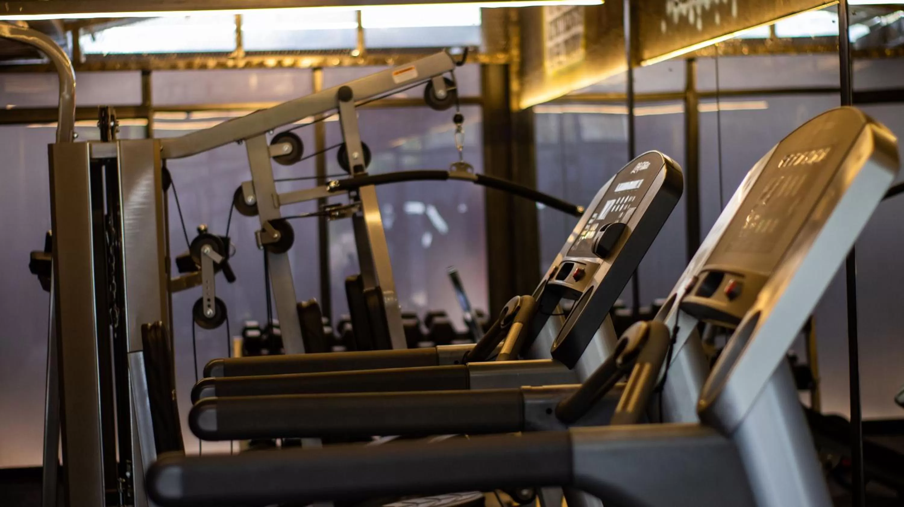 Fitness centre/facilities, Fitness Center/Facilities in Gigiri Lion Villas II