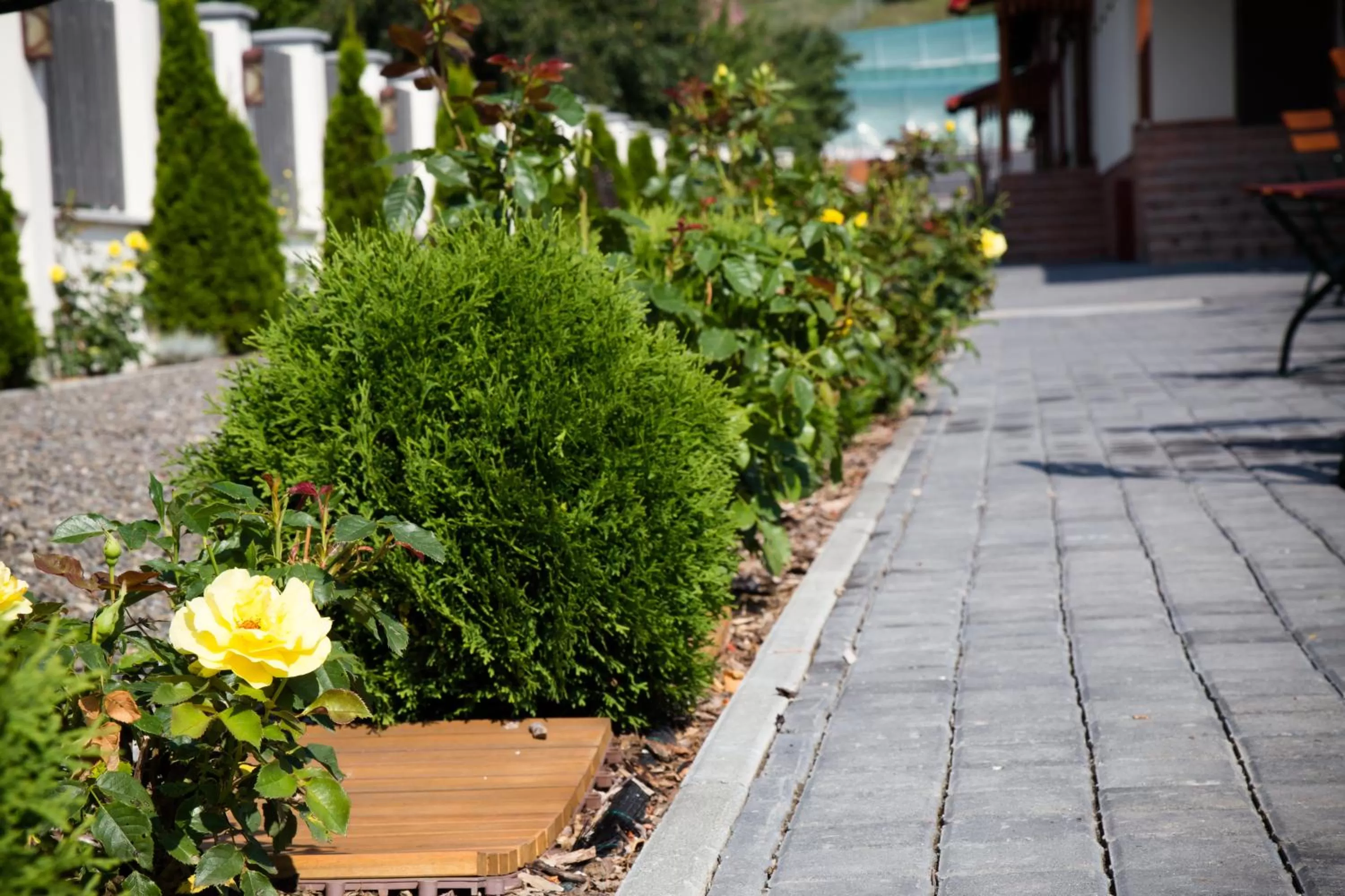 Garden in Country Court
