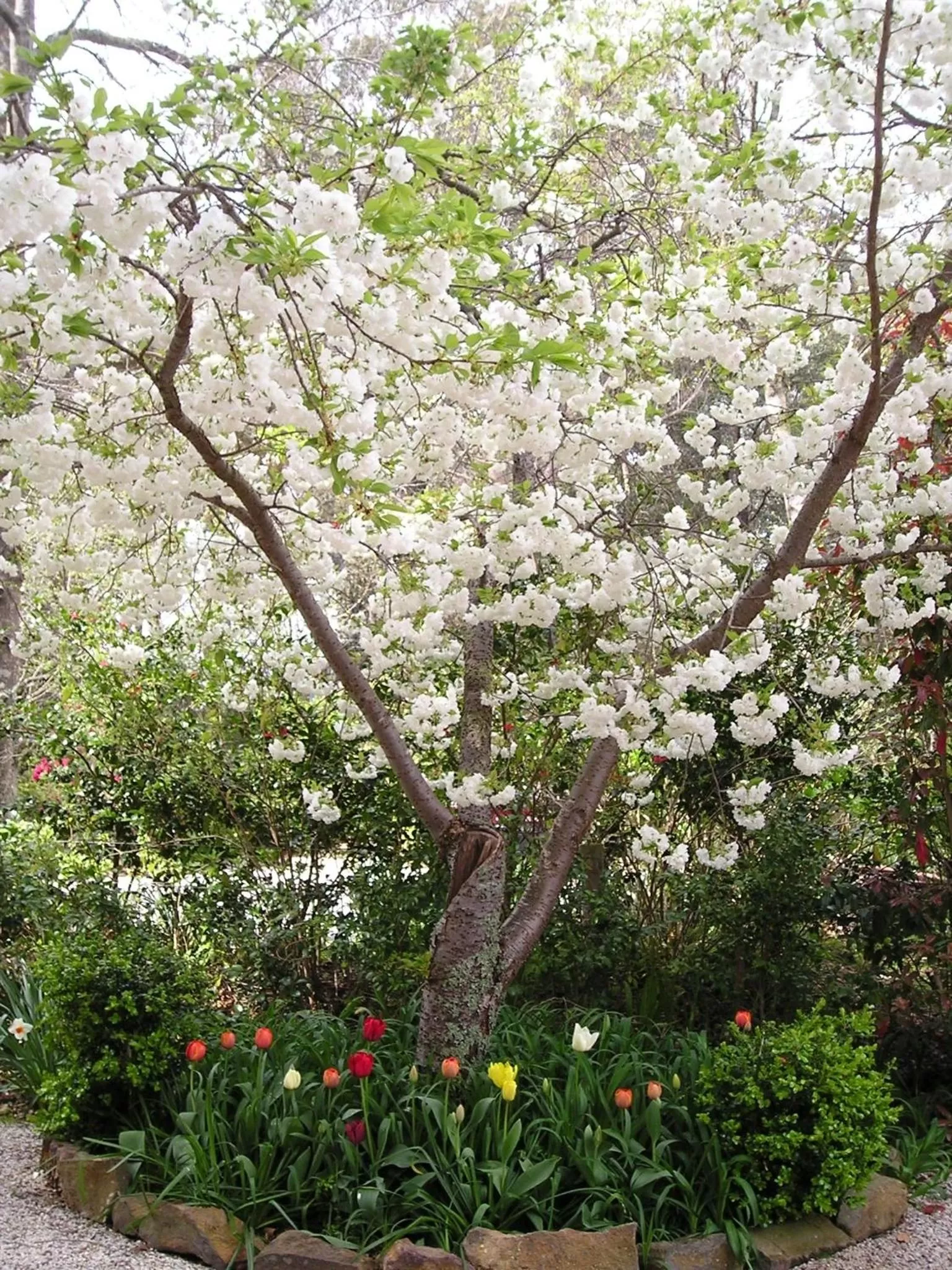Decorative detail in Valley of the Waters B&B