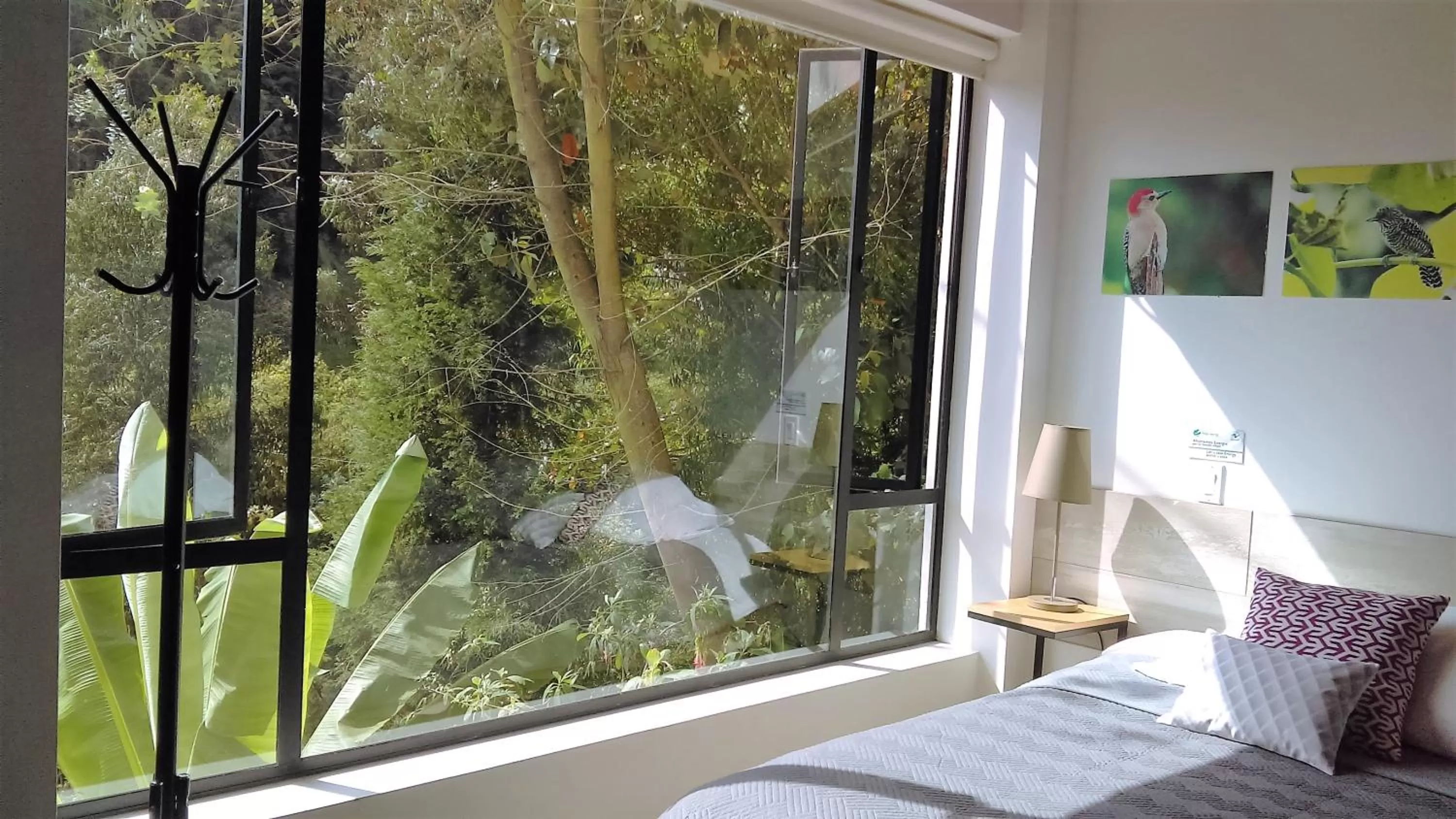 Bed in Hotel Termales Tierra Viva