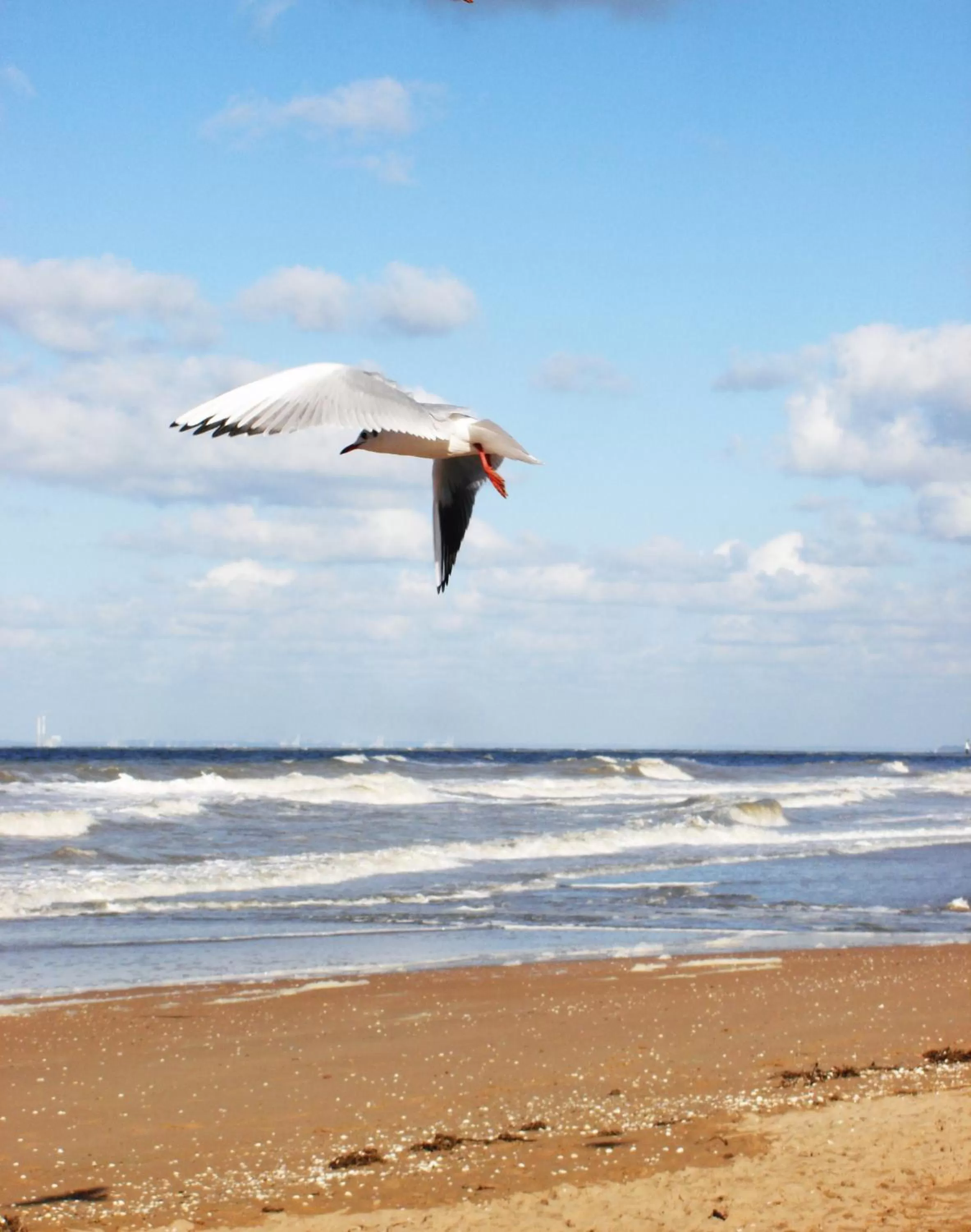 Beach in La Romance et la Romanesque
