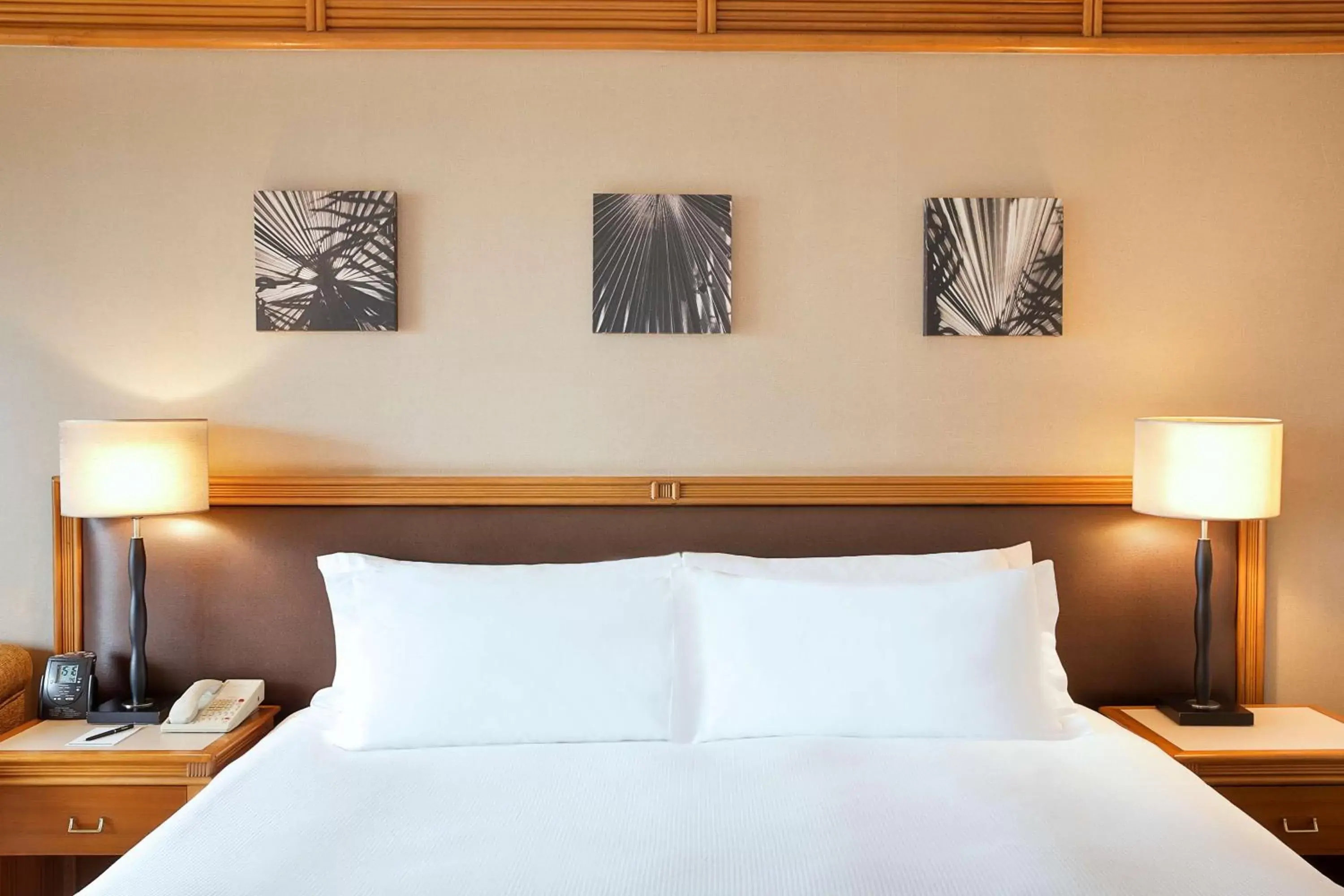 Connecting Family Room in Hilton Yaounde Connecting Family Room in Hilton Yaounde