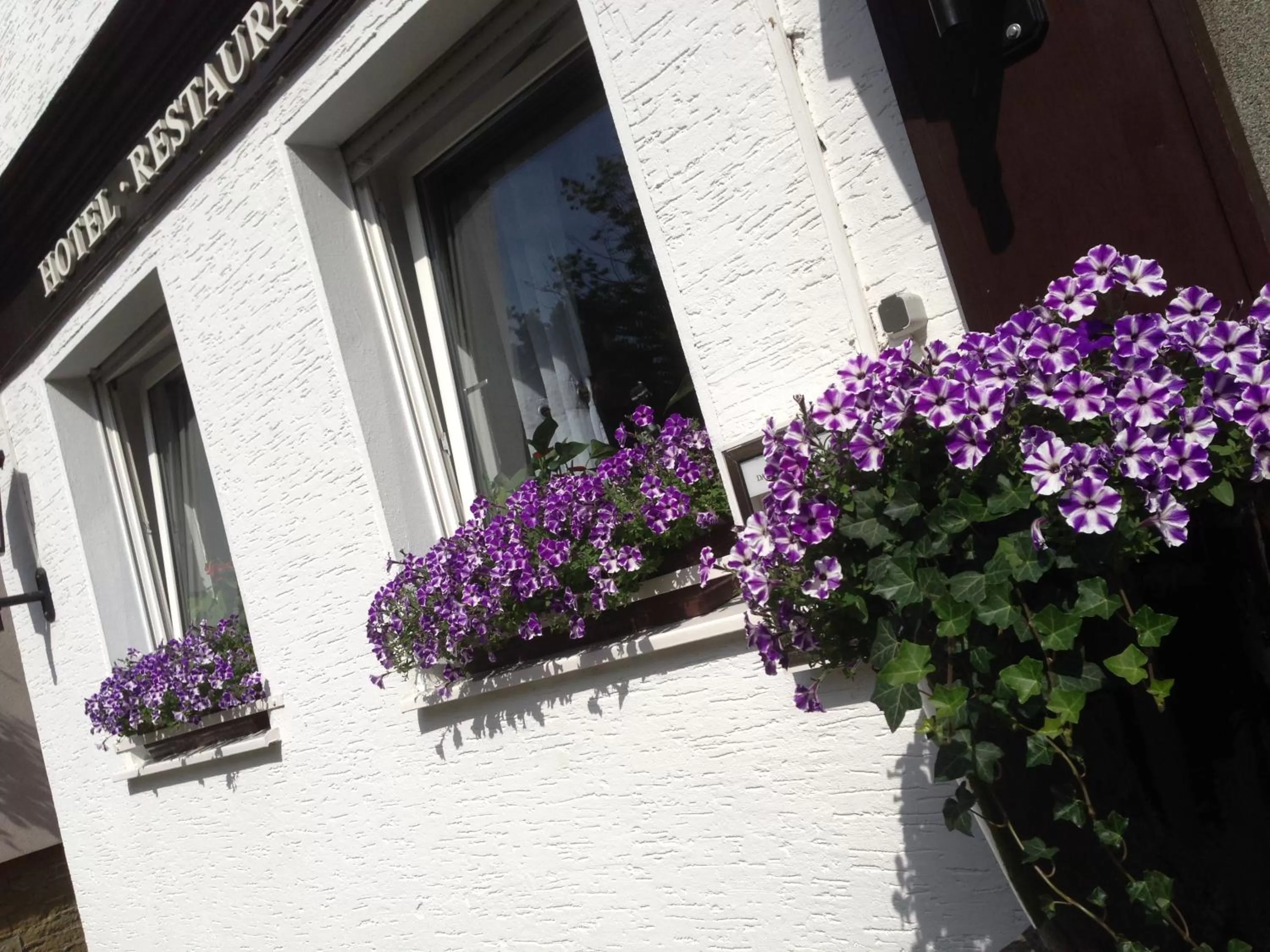 Facade/entrance in Hotel Domhof