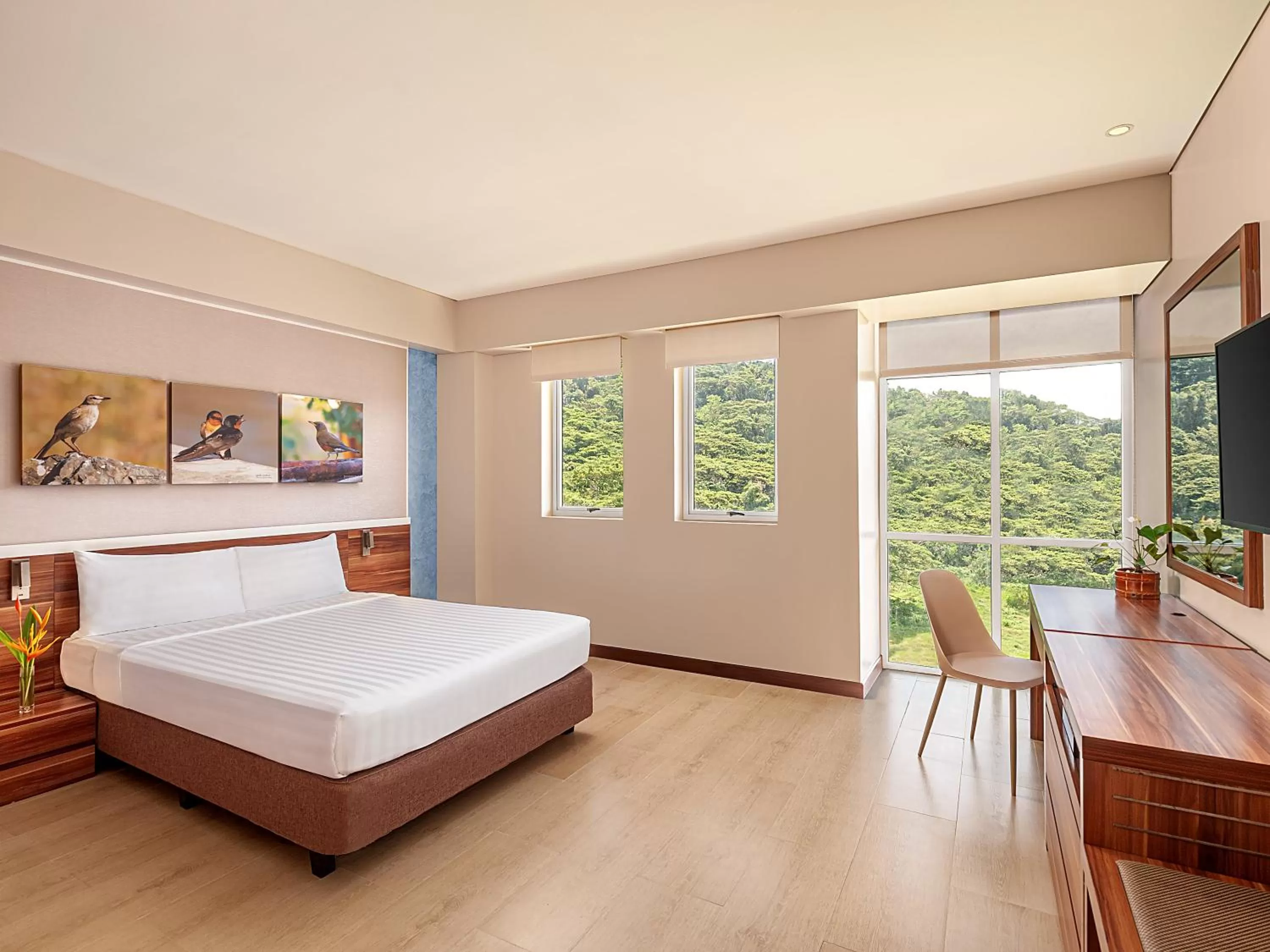 Bed in Pico Sands Hotel