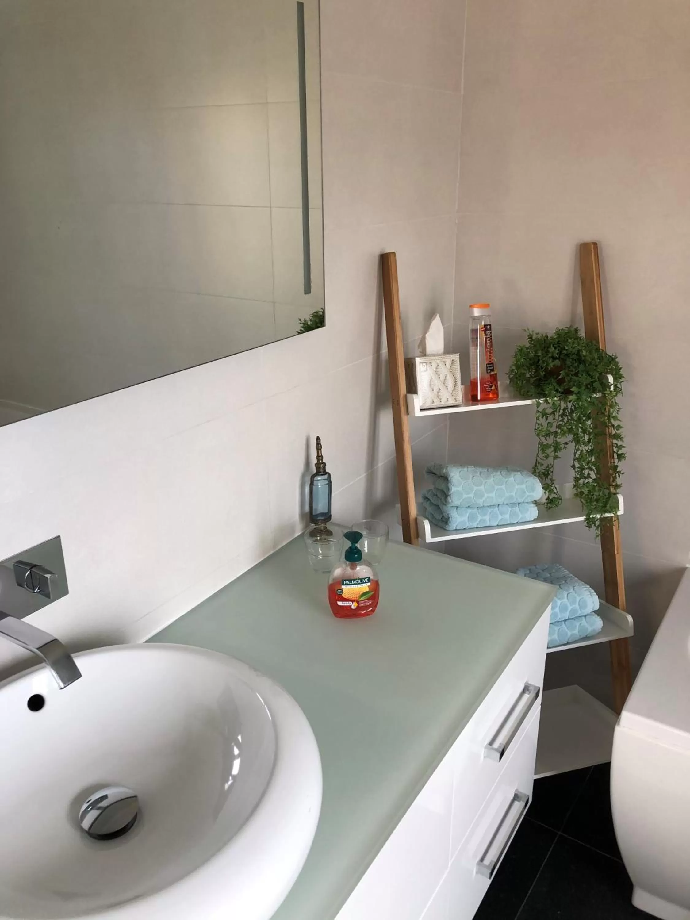 Shower in B&B Coupure