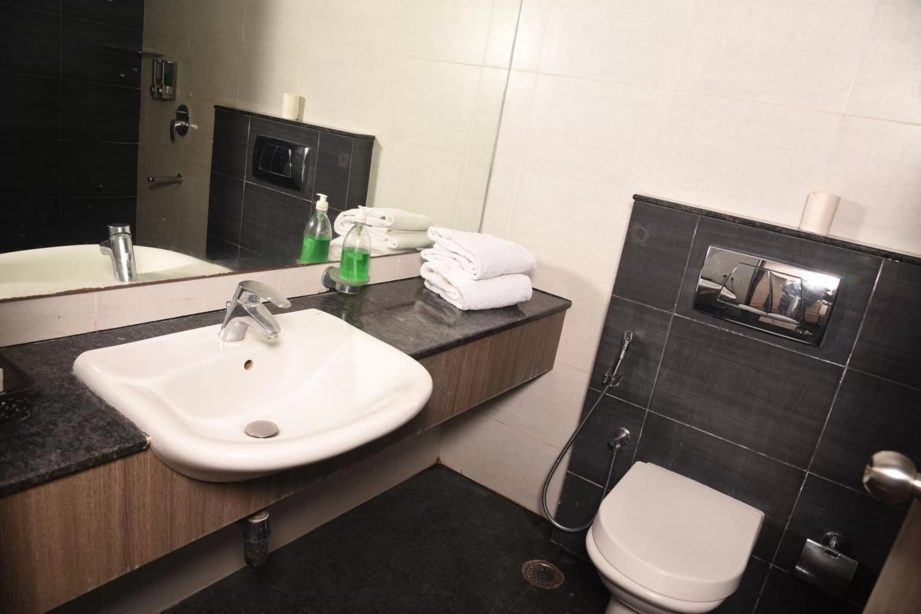 Bathroom in Hotel Sabareesh Park