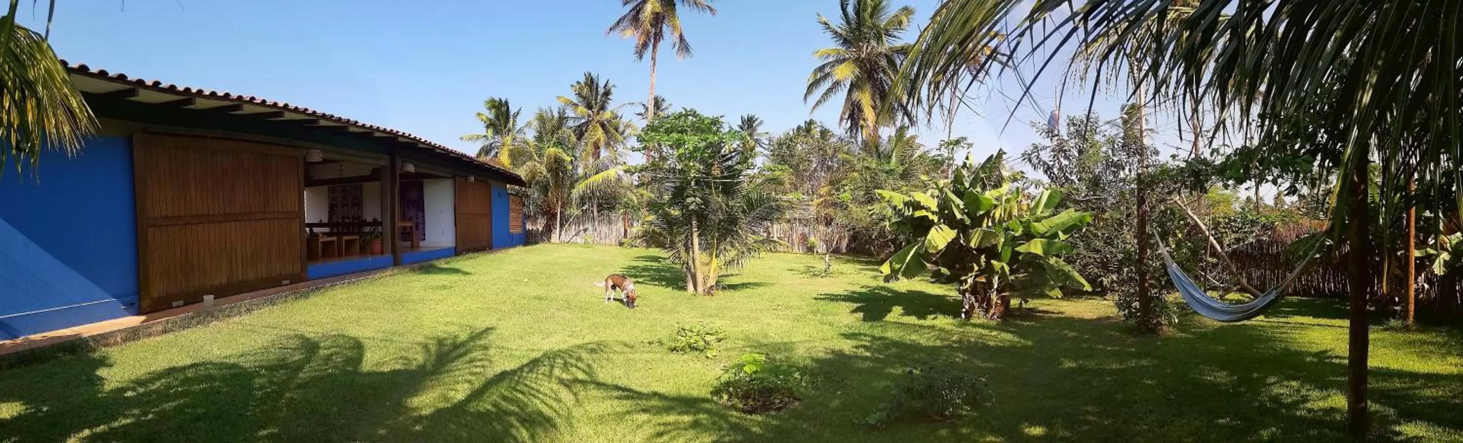 Garden in Pousada Casa de João Kitehouse