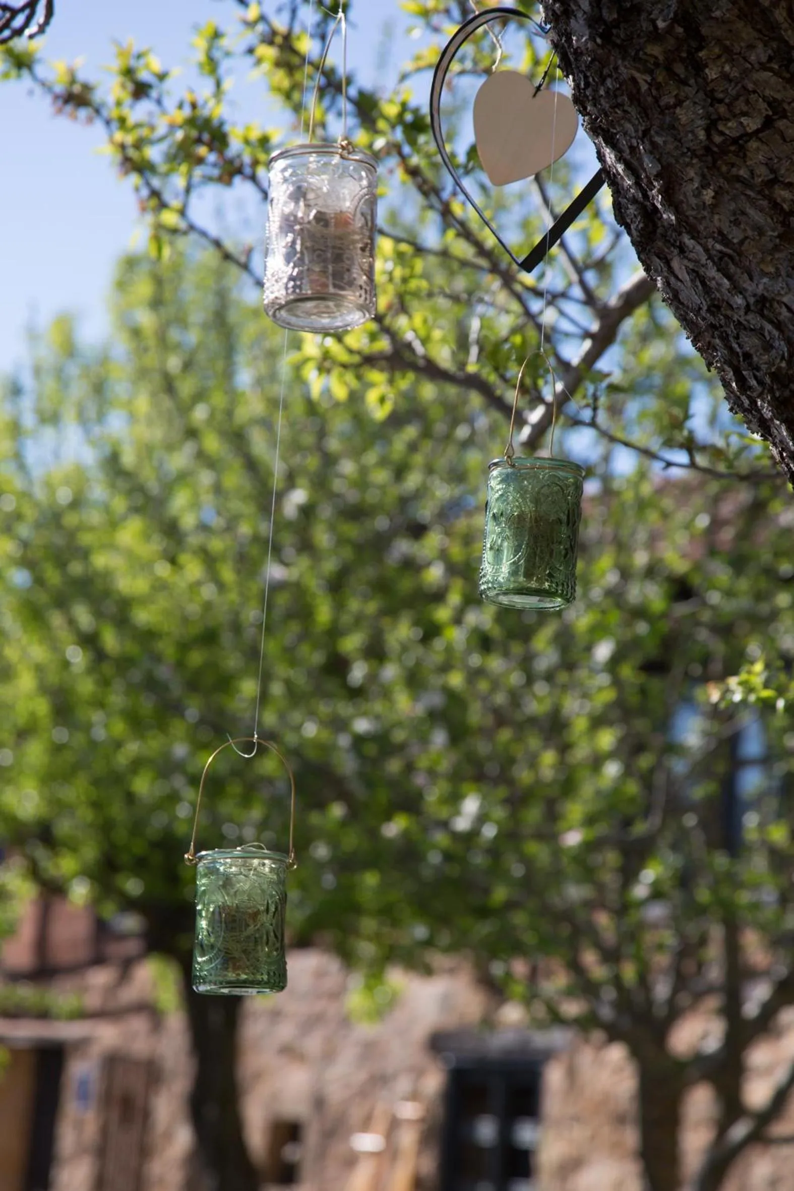 Garden, Other Animals in Hotel Posada Santa Maria la Real