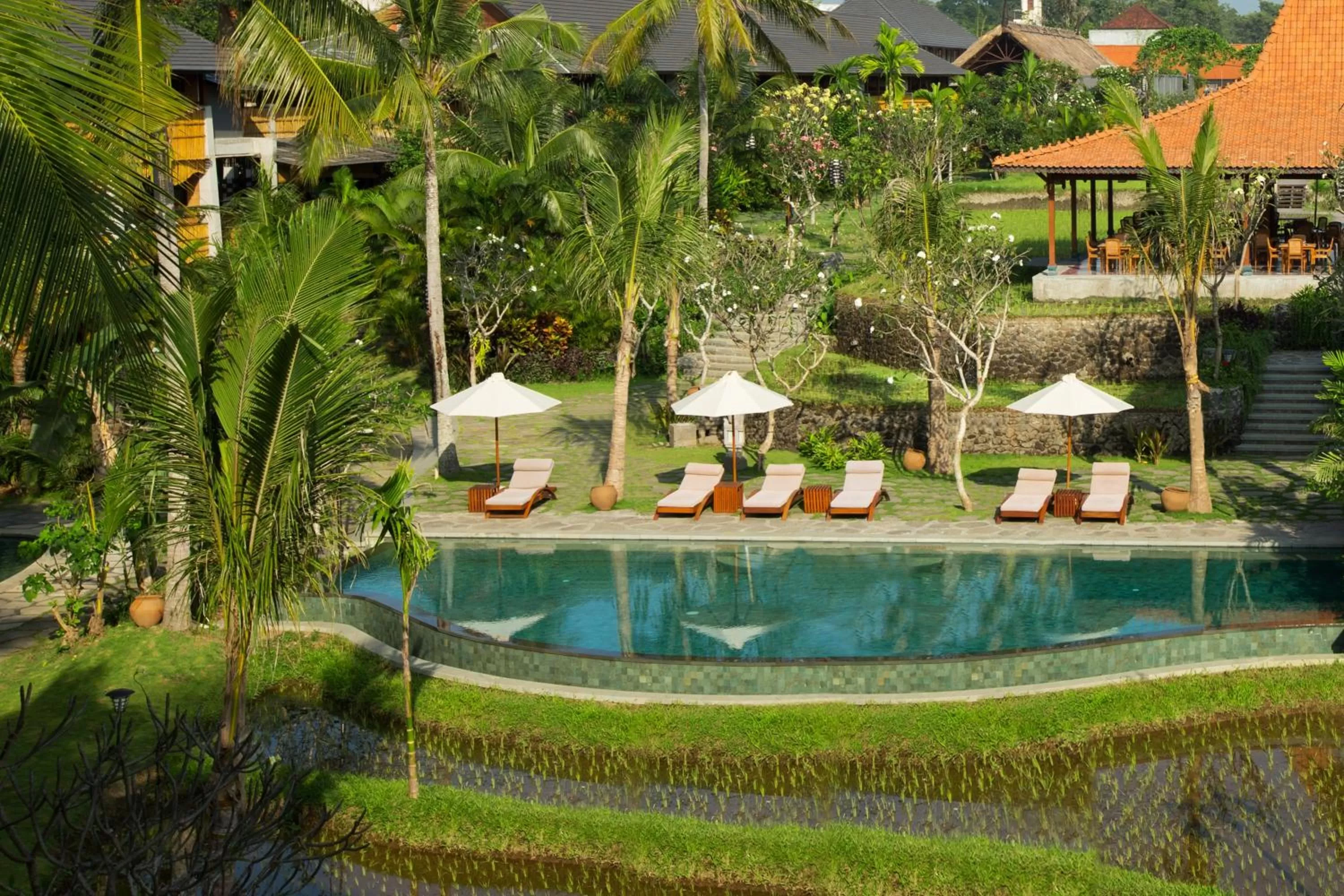 Swimming pool in Alaya Resort Ubud