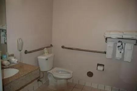 Holiday Inn Express Hotel & Suites Fenton/I-44 by IHG