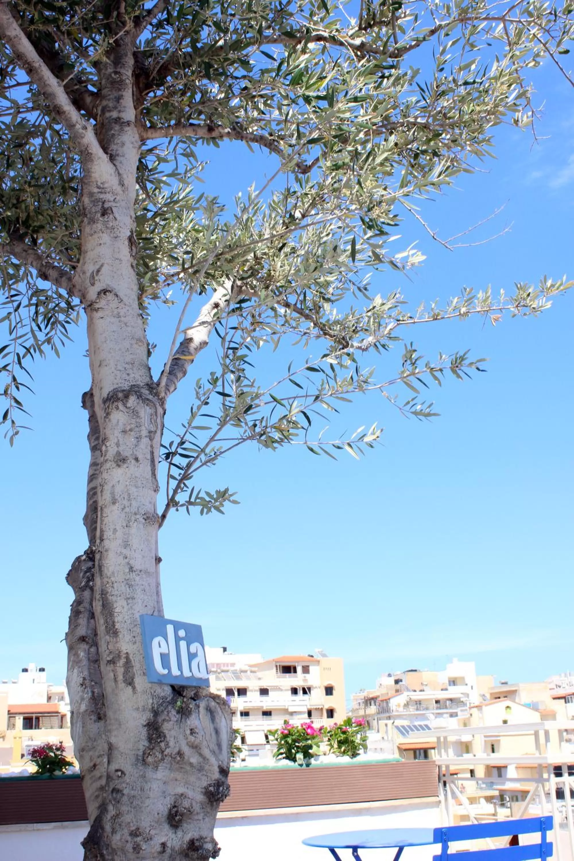 City view in Ikaros Art Hotel