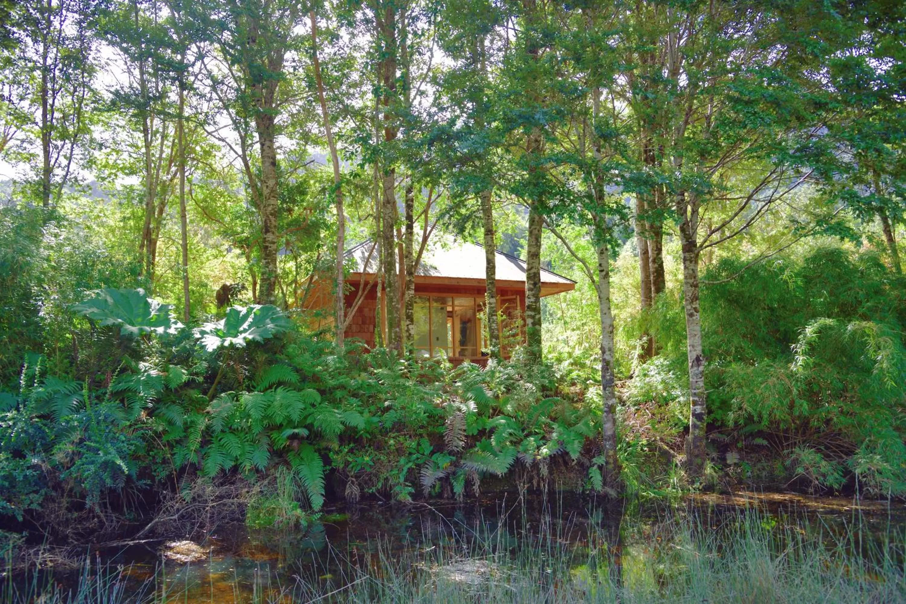Photo of the whole room, Property Building in Posada Queulat