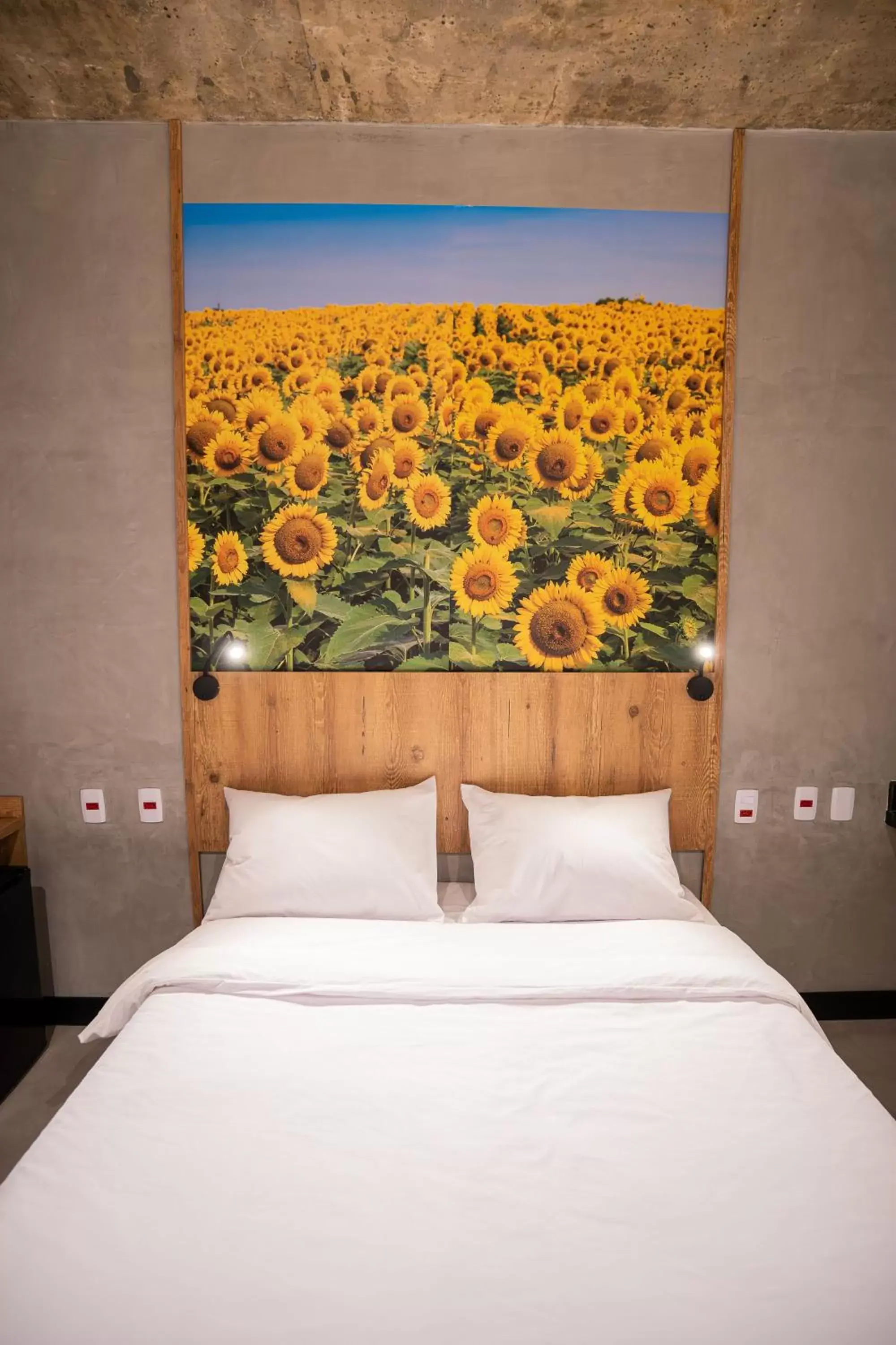 CAMPOS DE HOLAMBRA INN CAMPOS DE HOLAMBRA INN