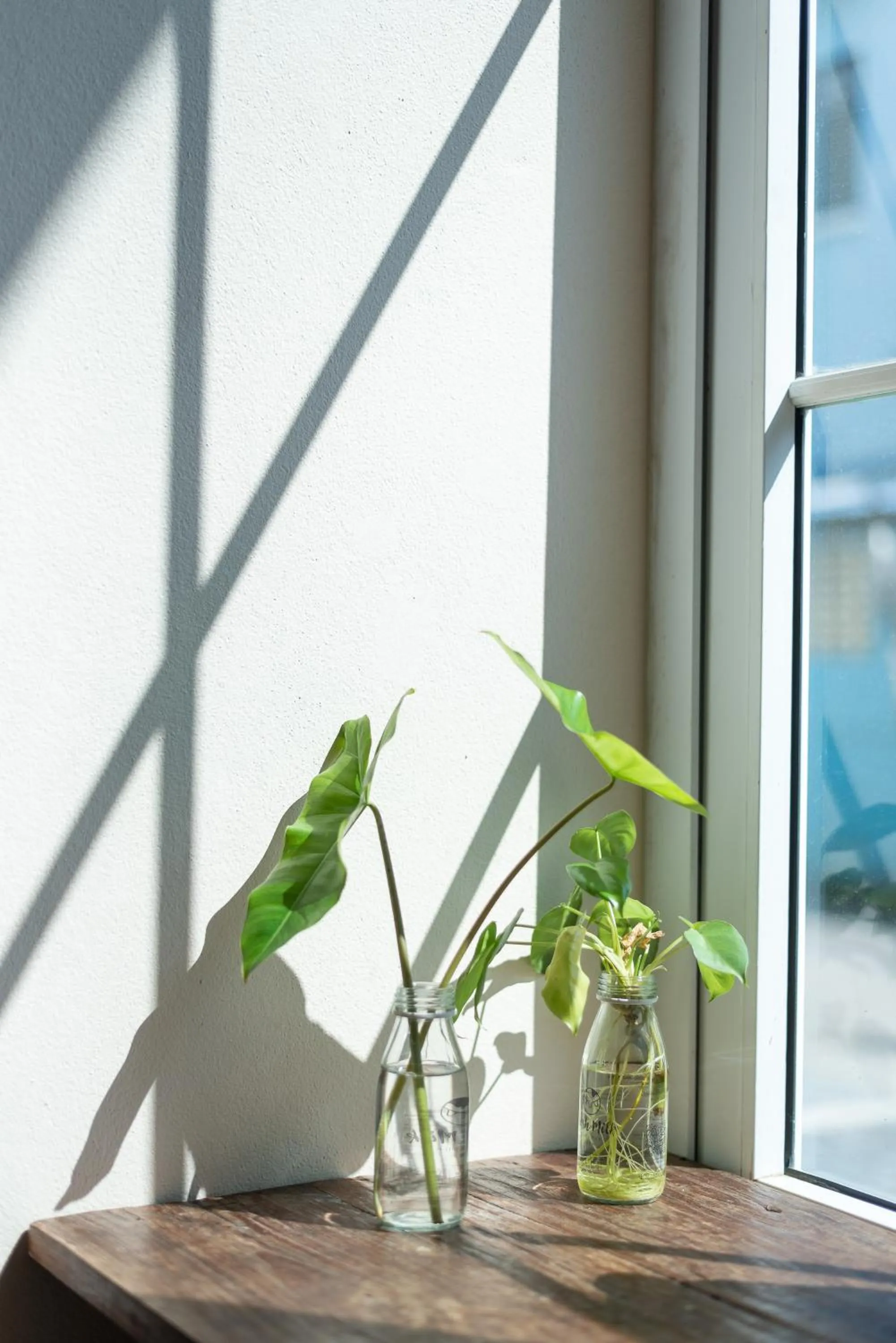 Seating area in Little Bear's Home