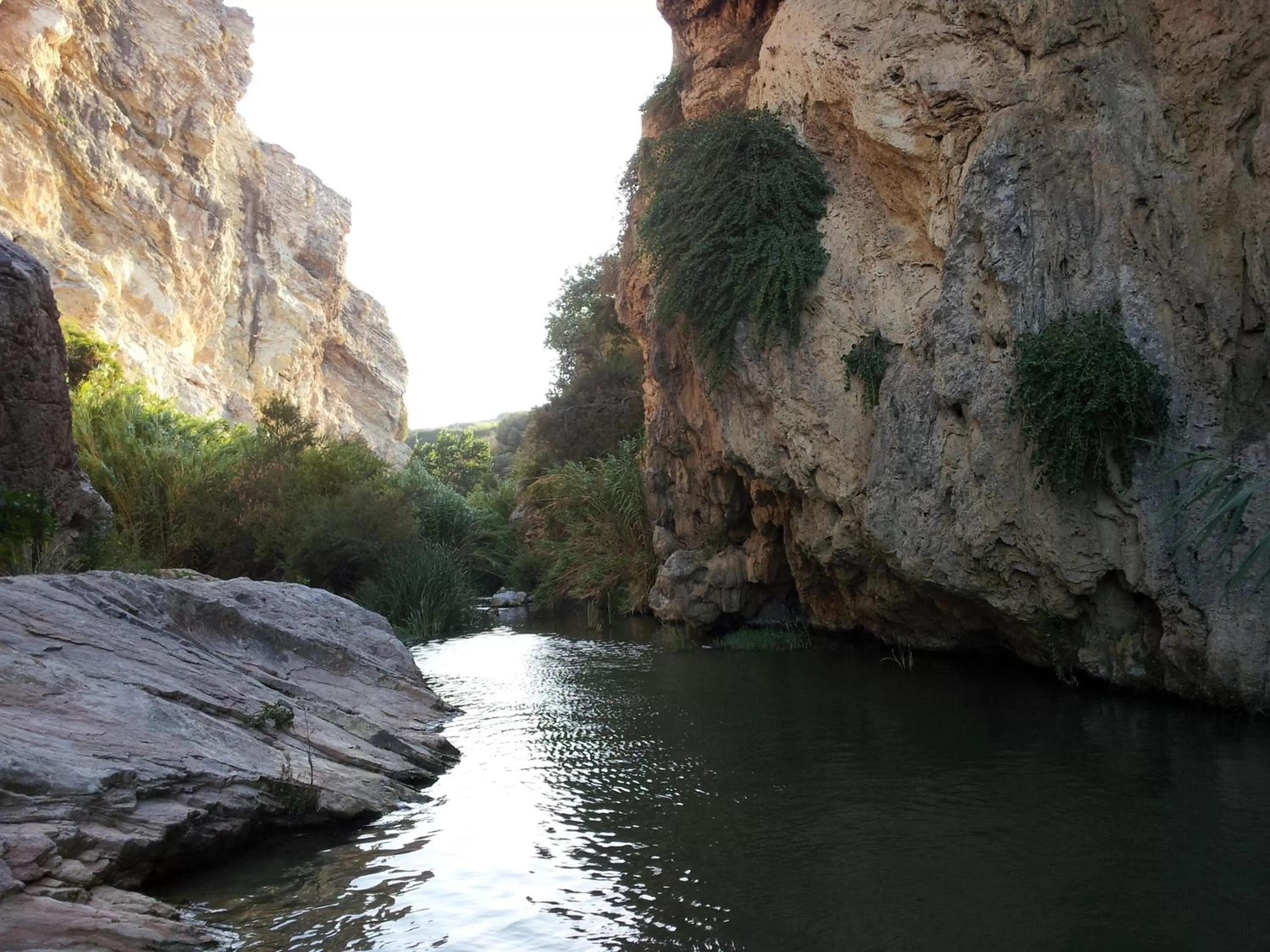 Hiking in La Suite Di Segesta