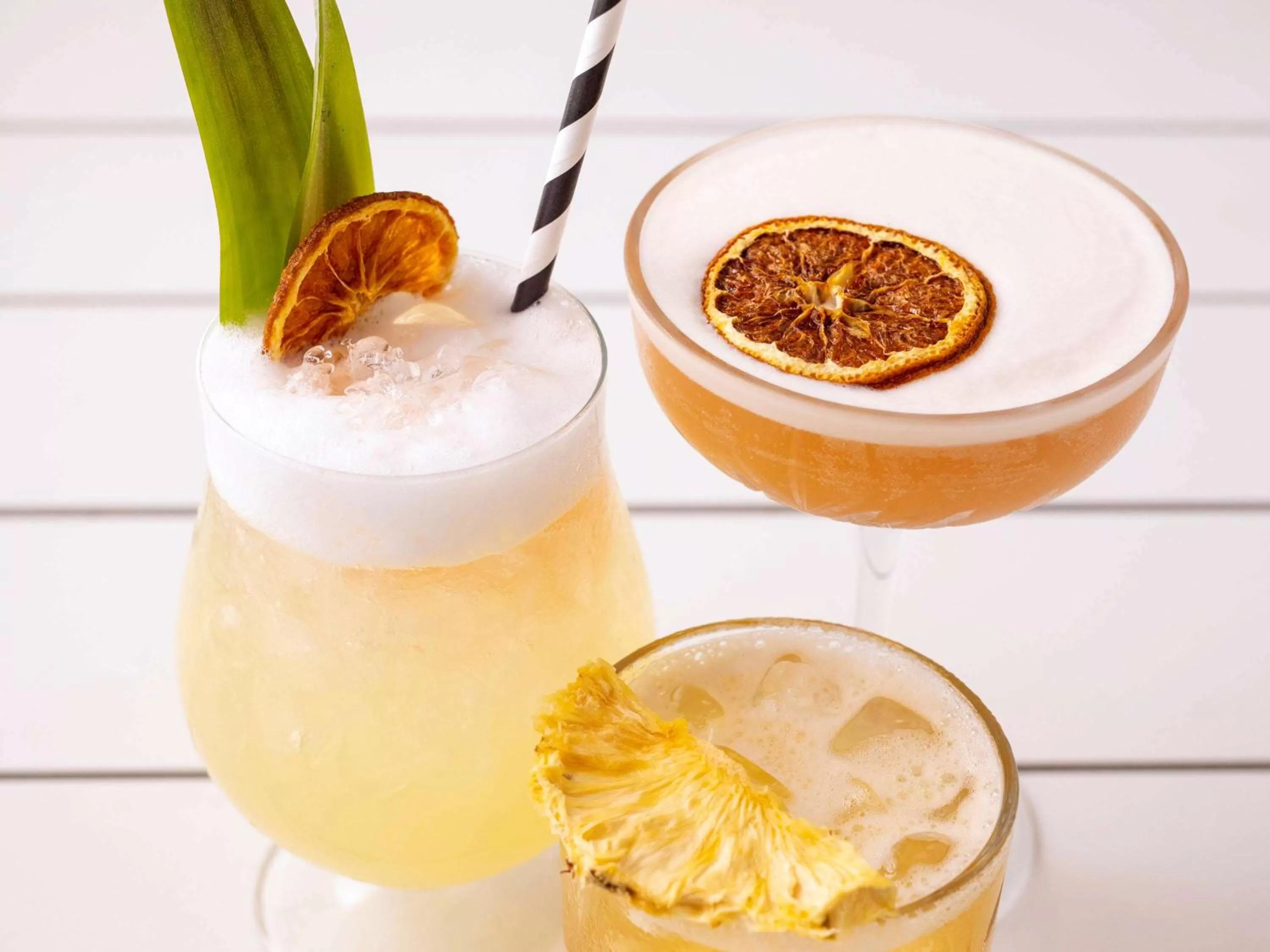 Lounge or bar in Sofitel Noosa Pacific Resort