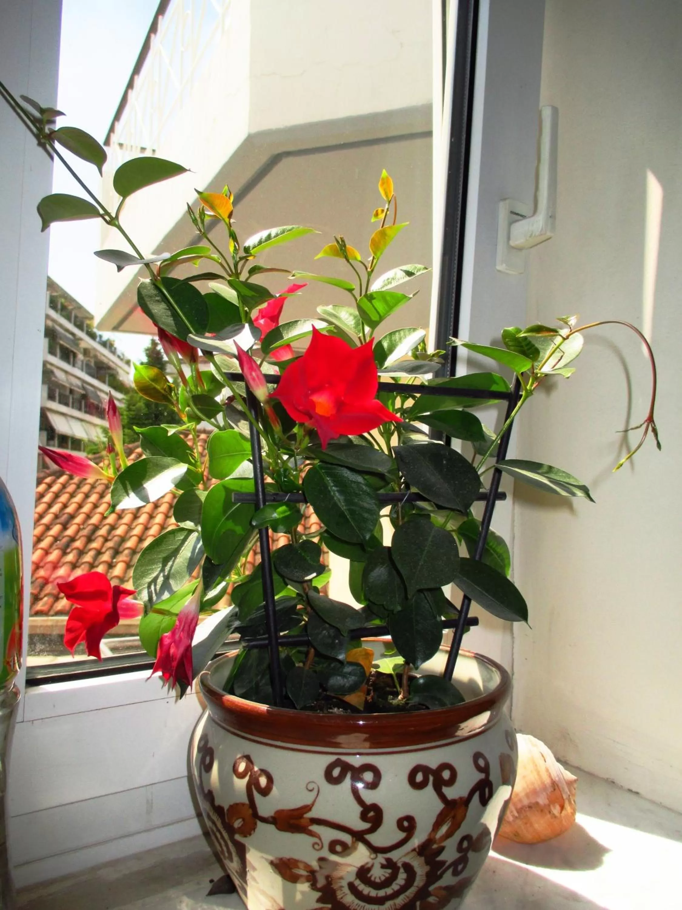 Other in Nomads Meteora