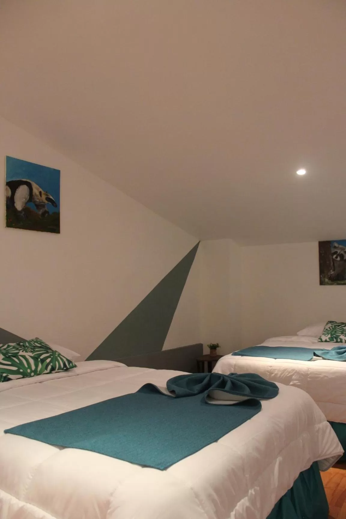 Bed in Cando Living Apartments in Central Avenue