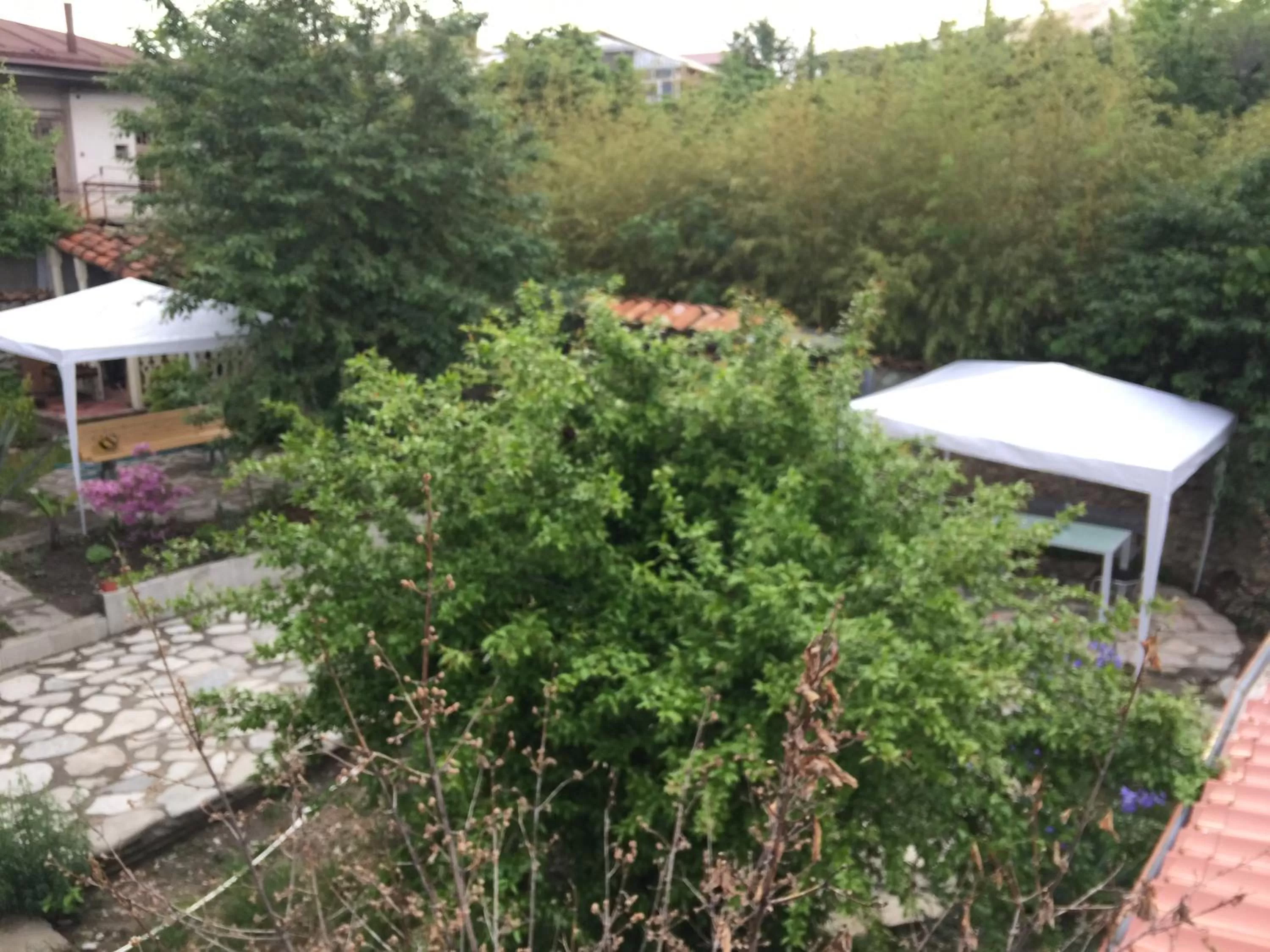 Garden in Nika's Guest House