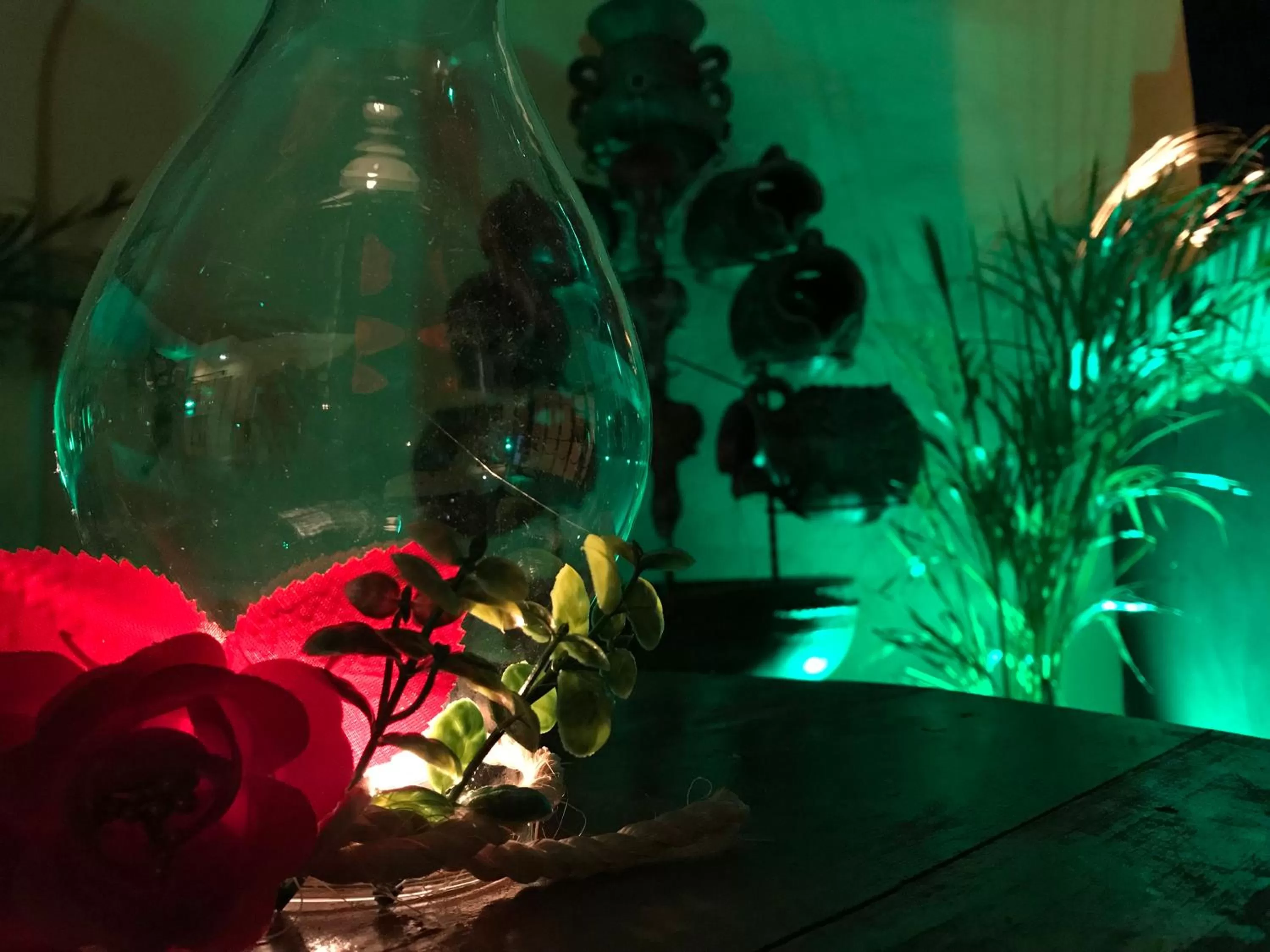 Swimming Pool in Hotel Real Colonial